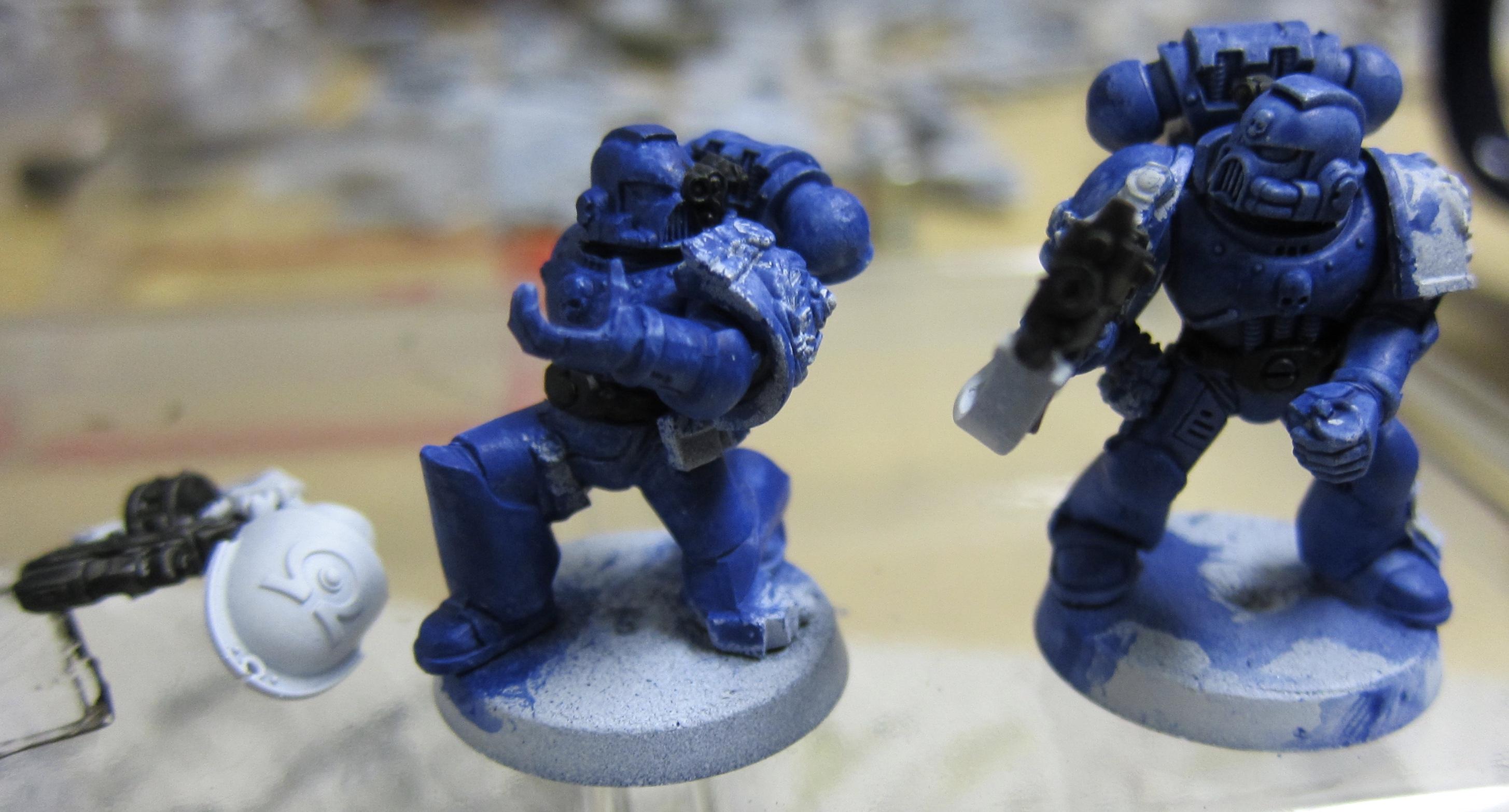 WIP sternguard