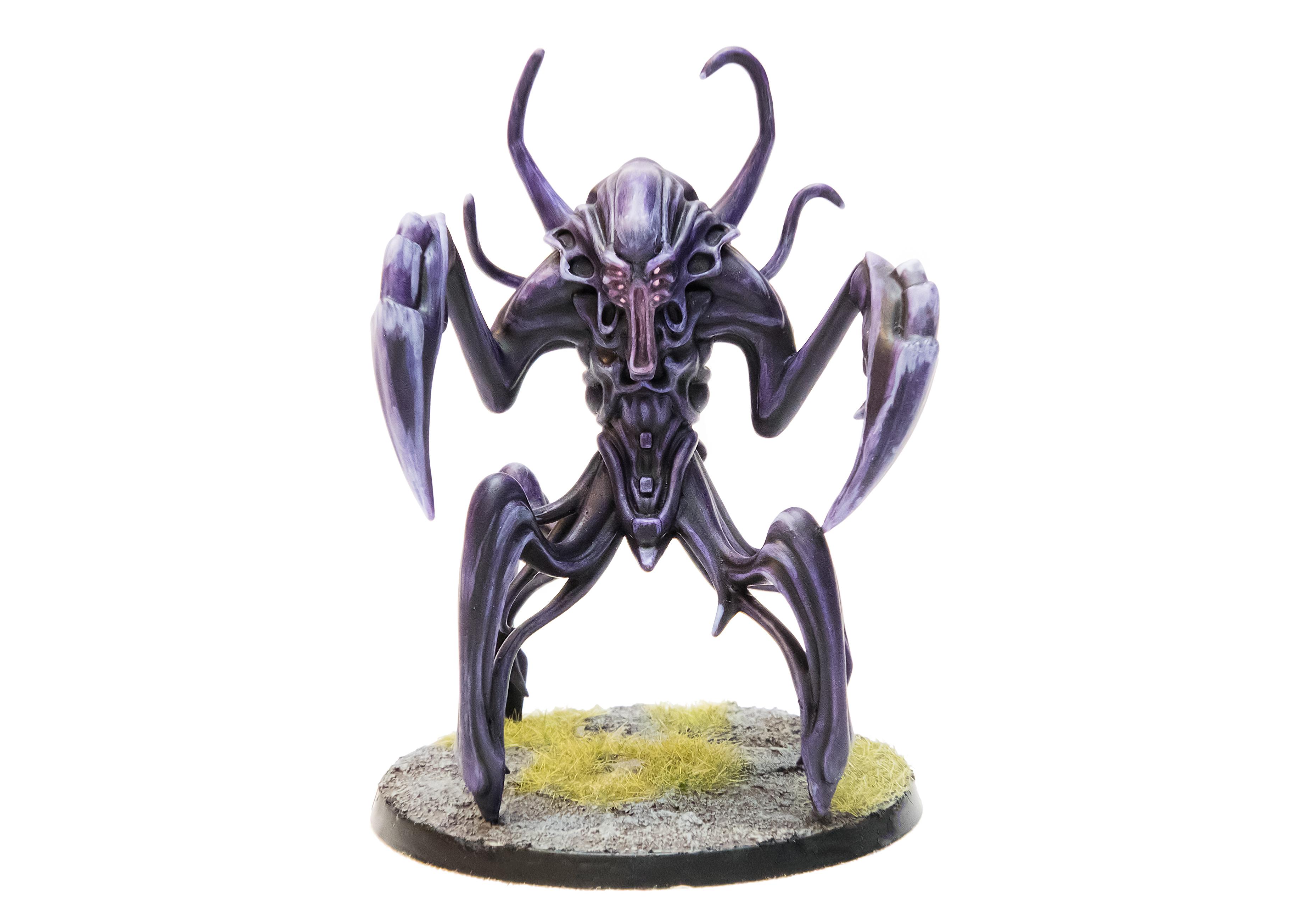 Angel, Karist Enclave, Maelstrom's Edge