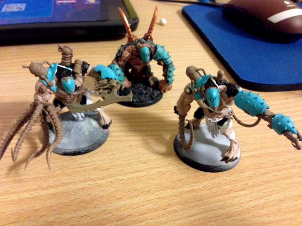 NuGrots WIP 2