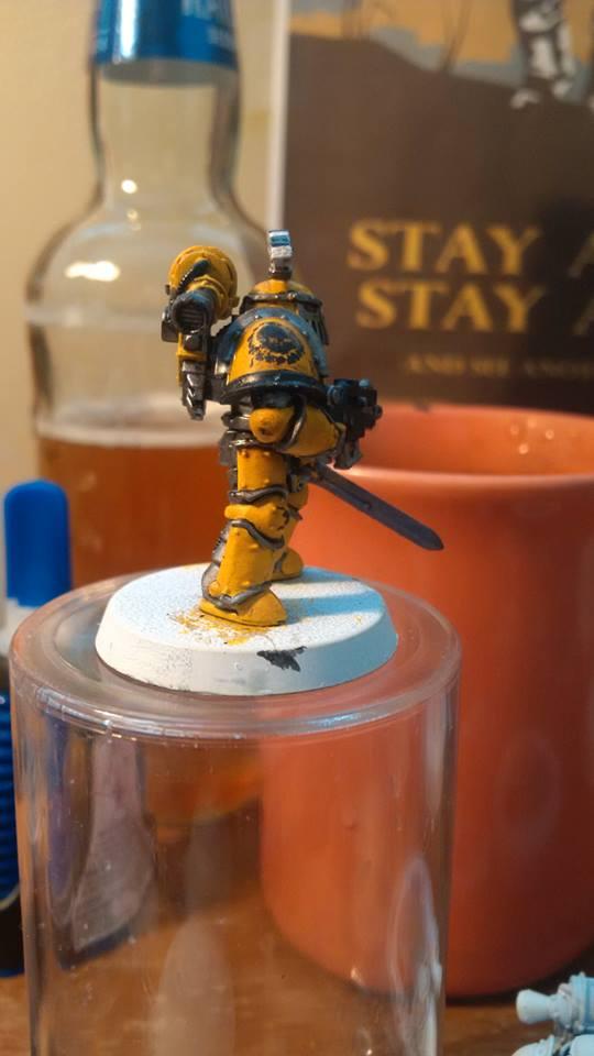 Imperial Fists, Imperial Fist