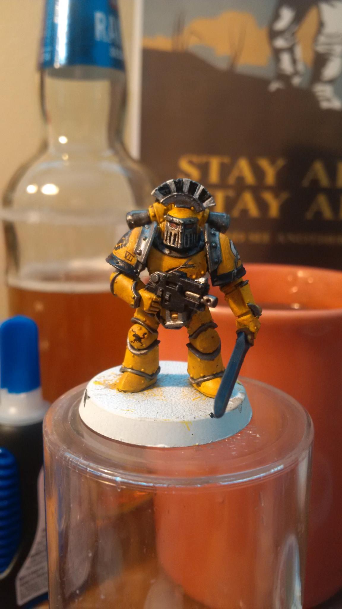 Imperial Fists, Imperial Fist