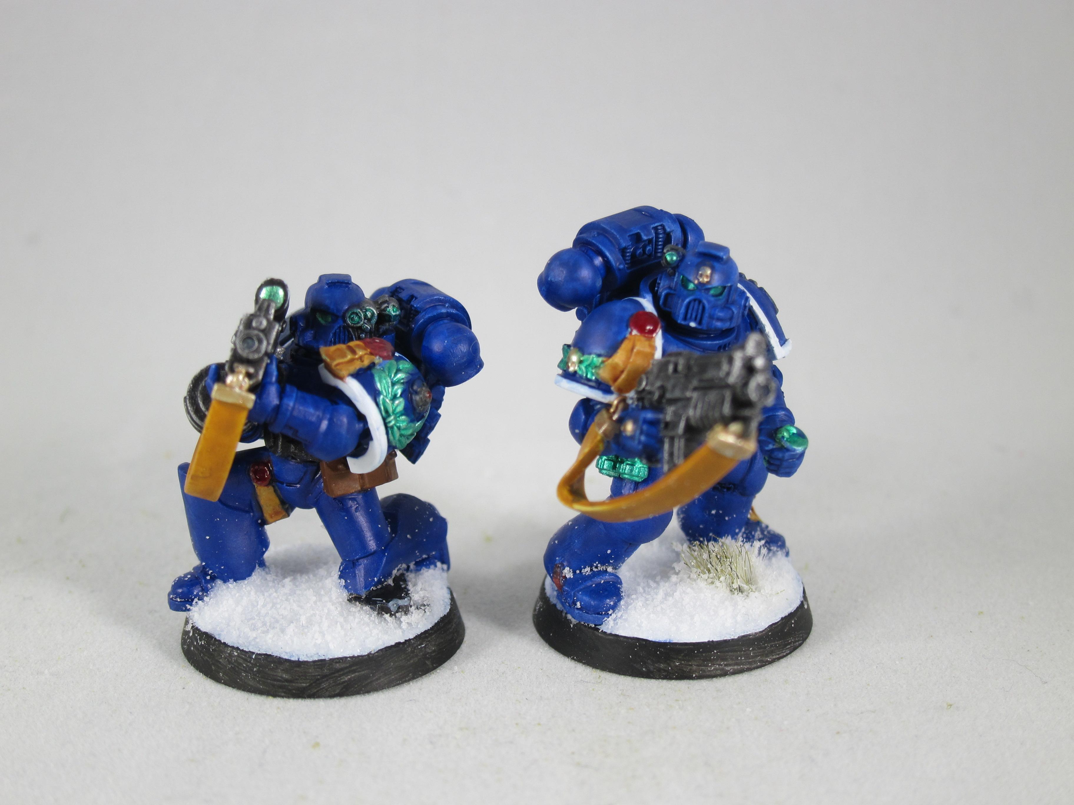 Last 2 sternguard