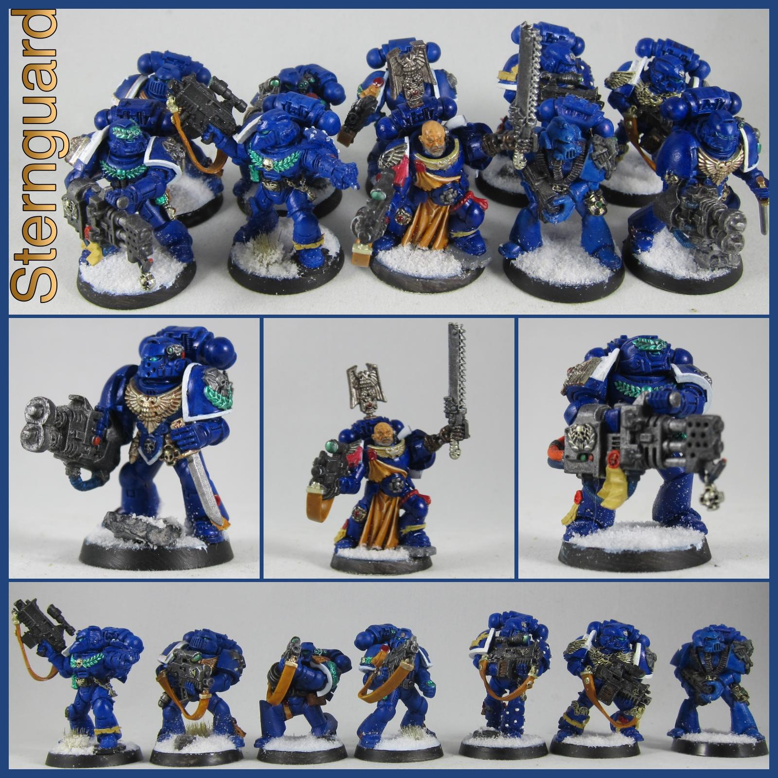 Sternguard, Ultramarines