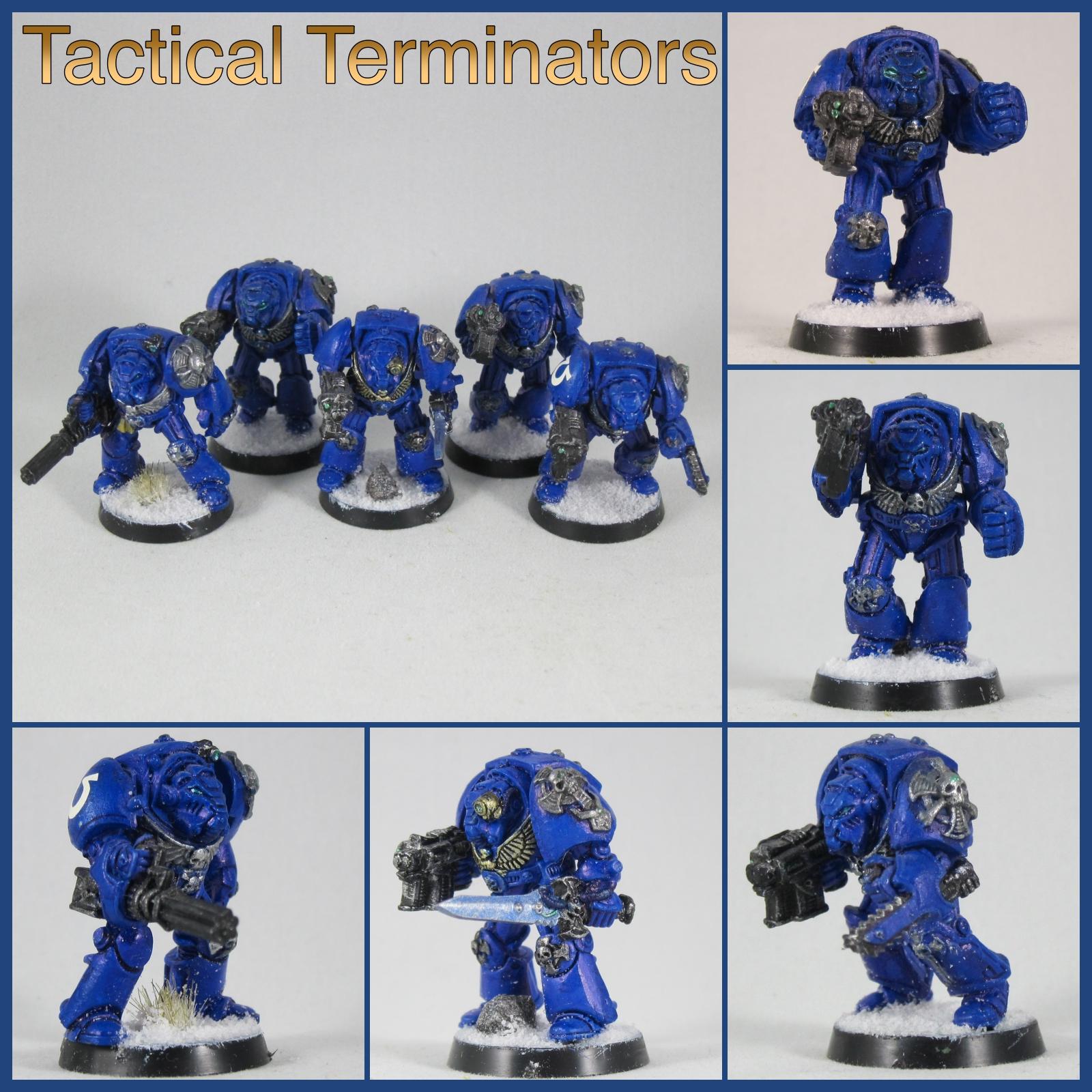 Tac Termis
