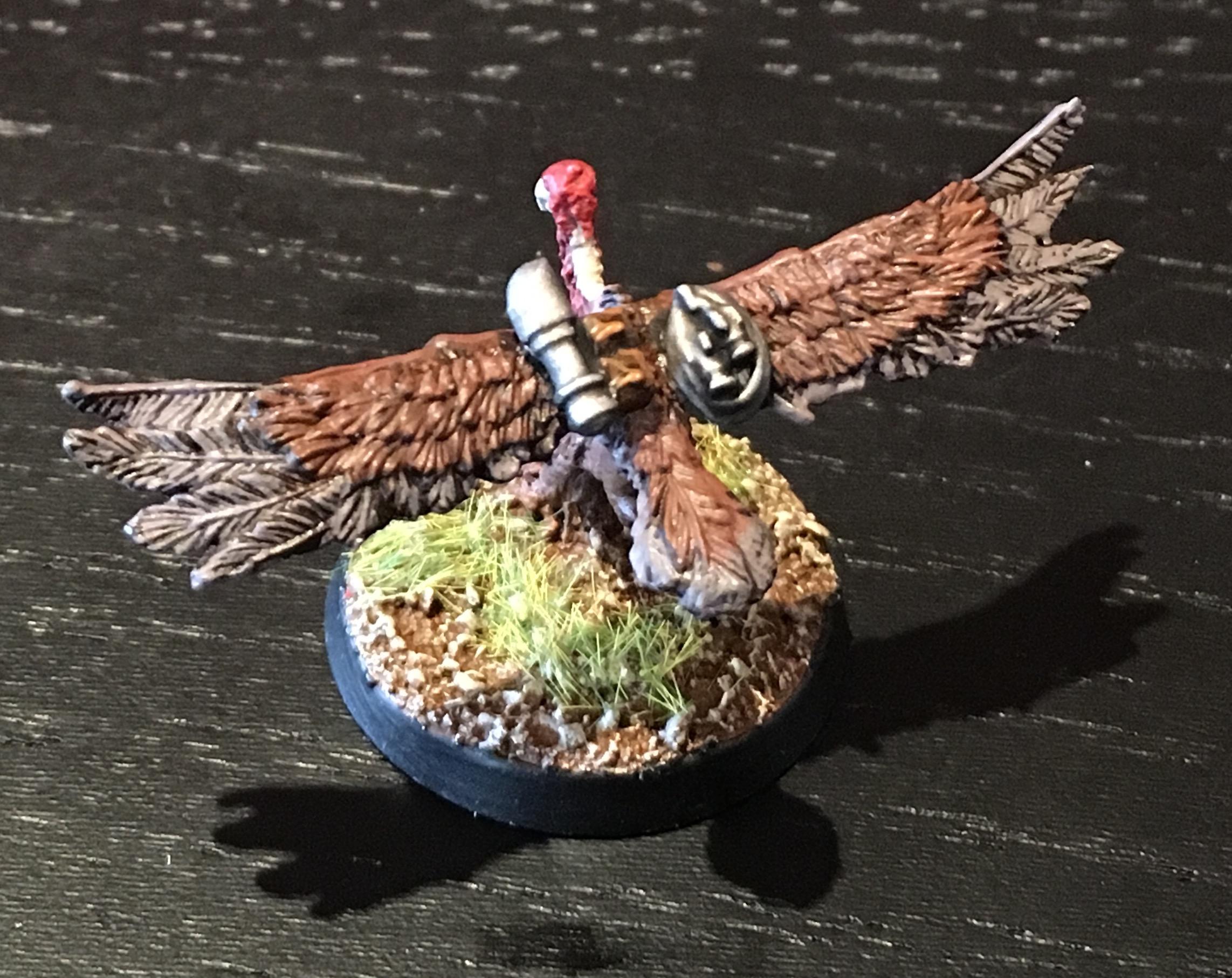 Cyber-hawk, Heresy, White Scars