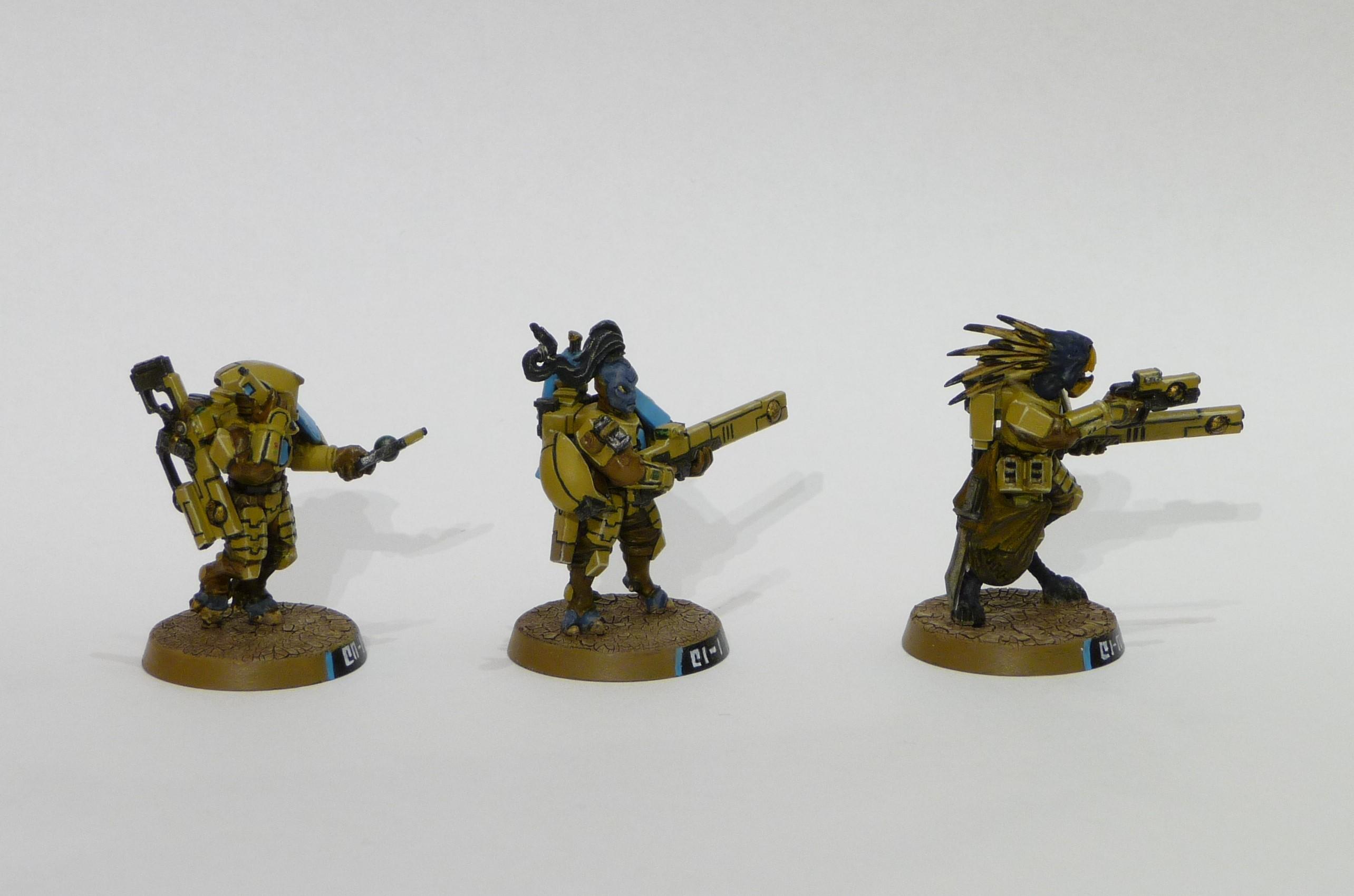 Conversion, Fire Warriors, Kroot, Tau