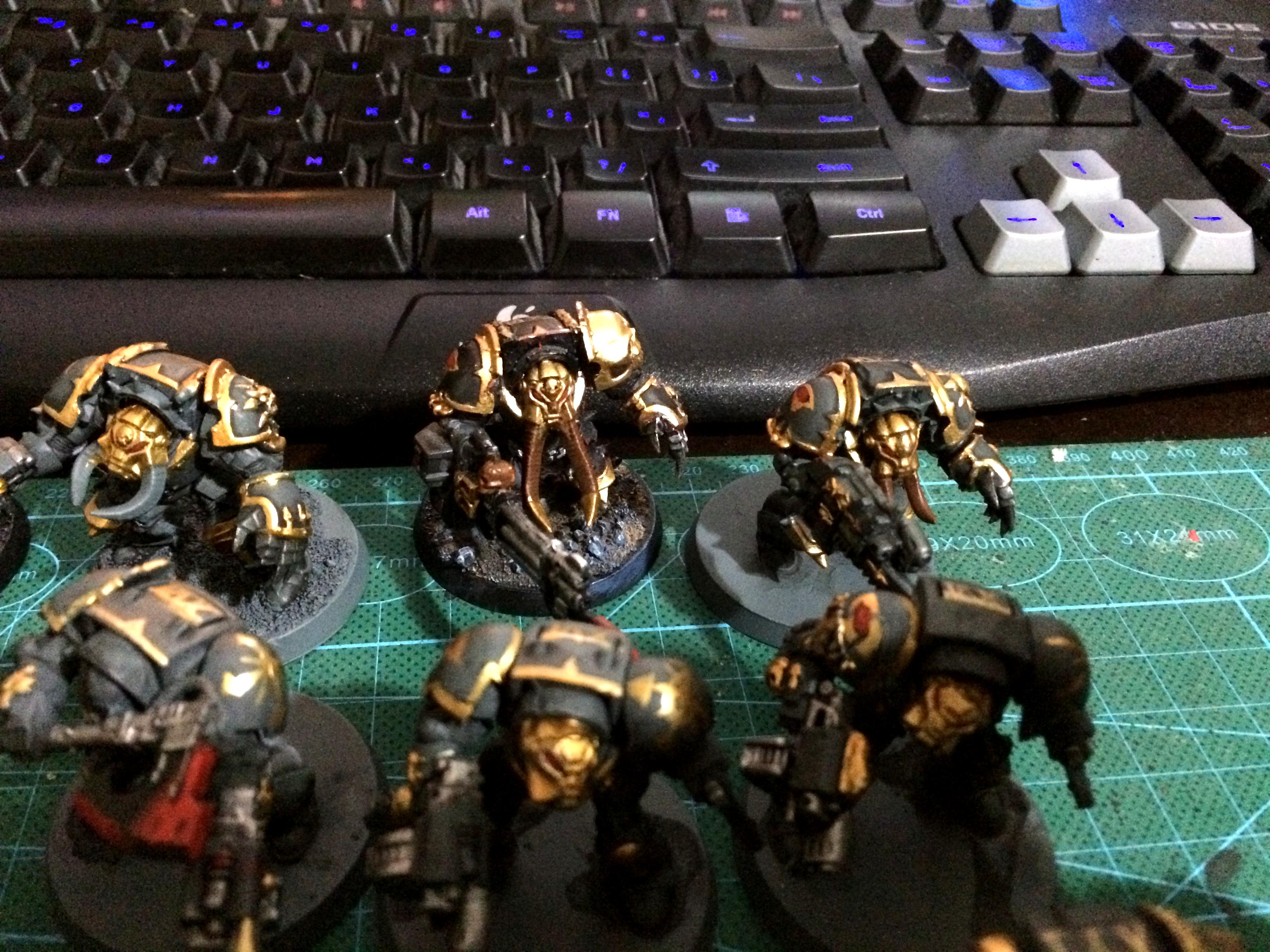 Terminator WIP