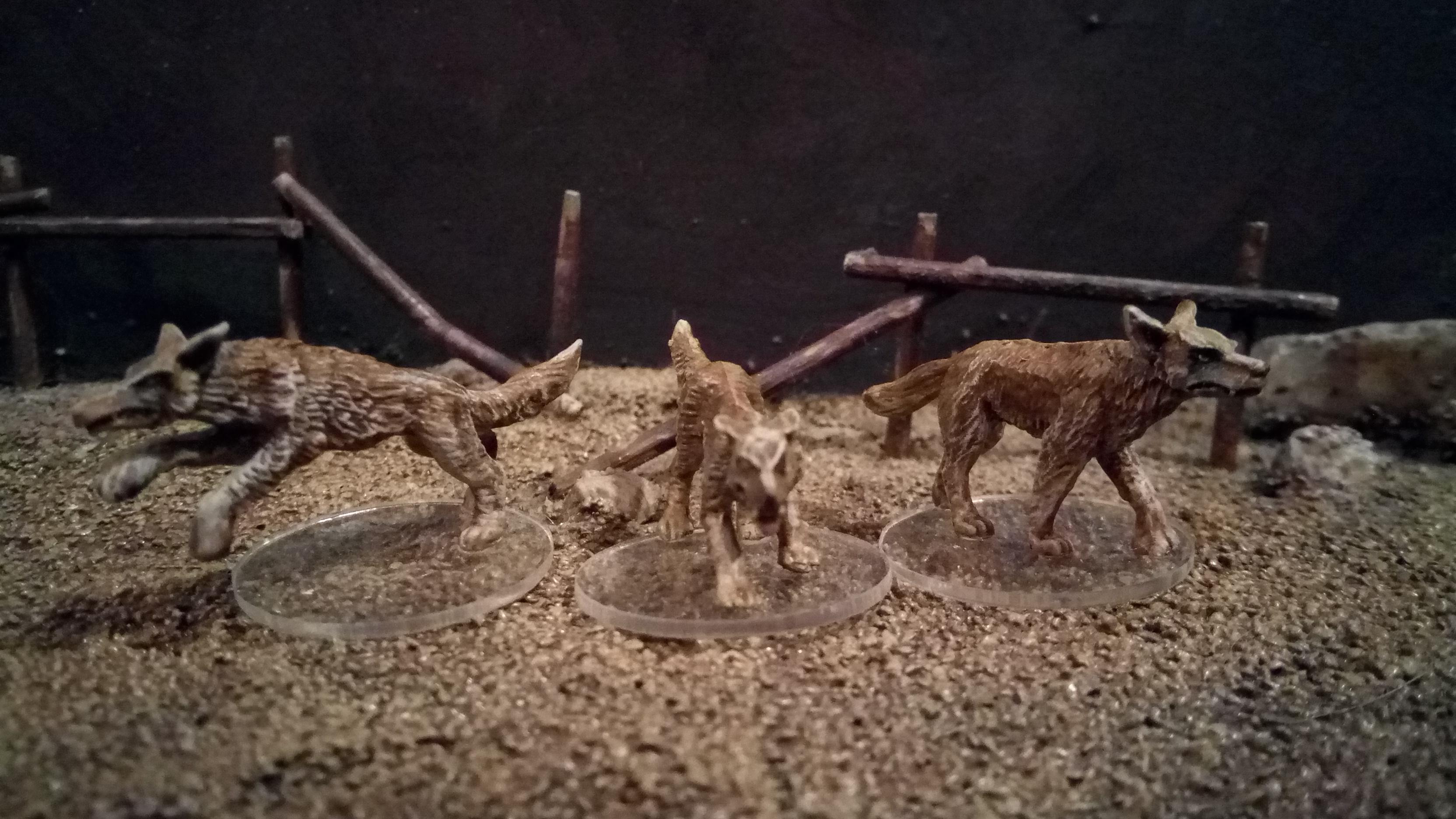 Mordheim, Coyotes
