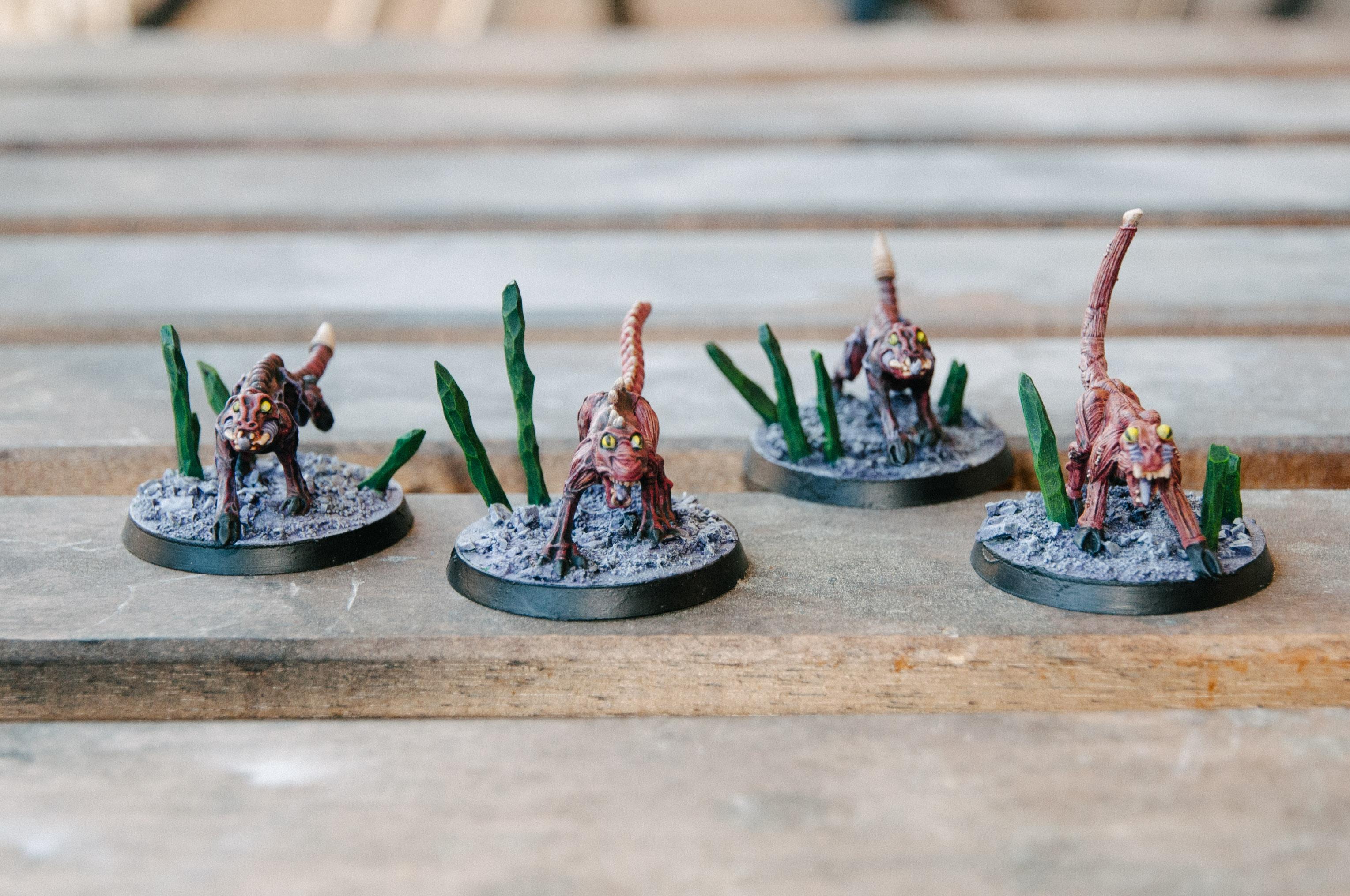 Warp Beasts, Warp Beasts