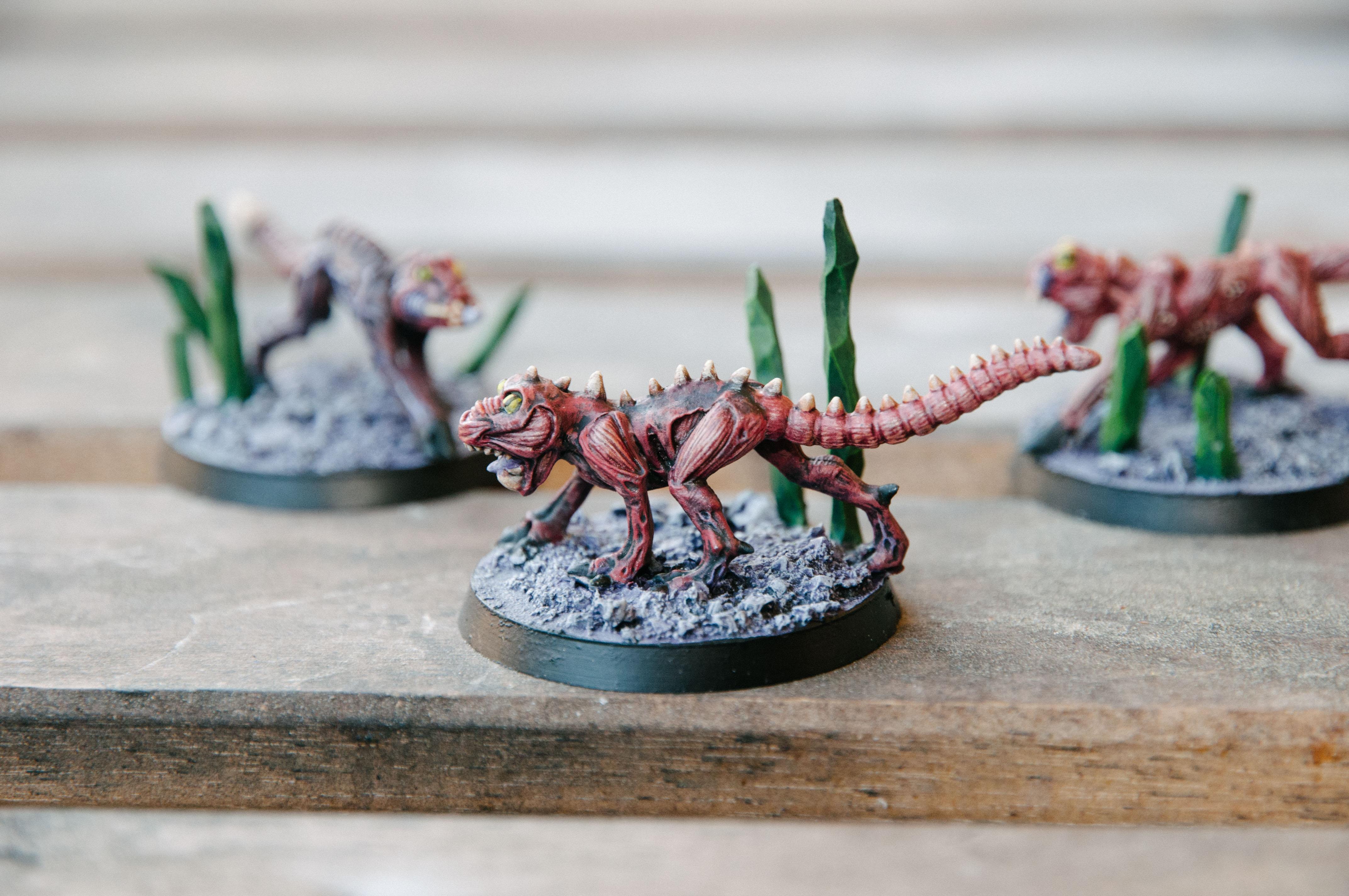 Warp Beasts, Warp Beasts
