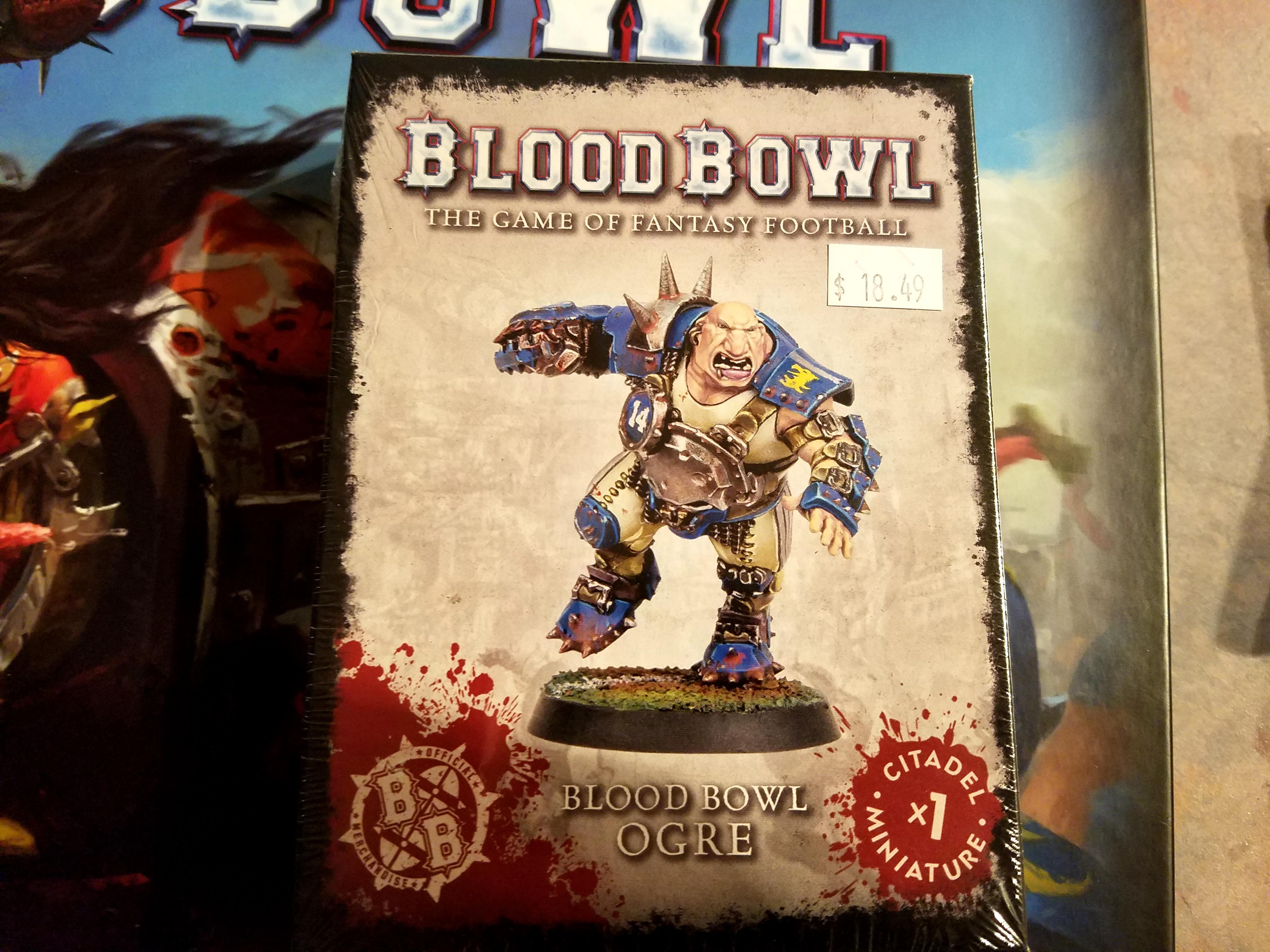 Blood Bowl 02
