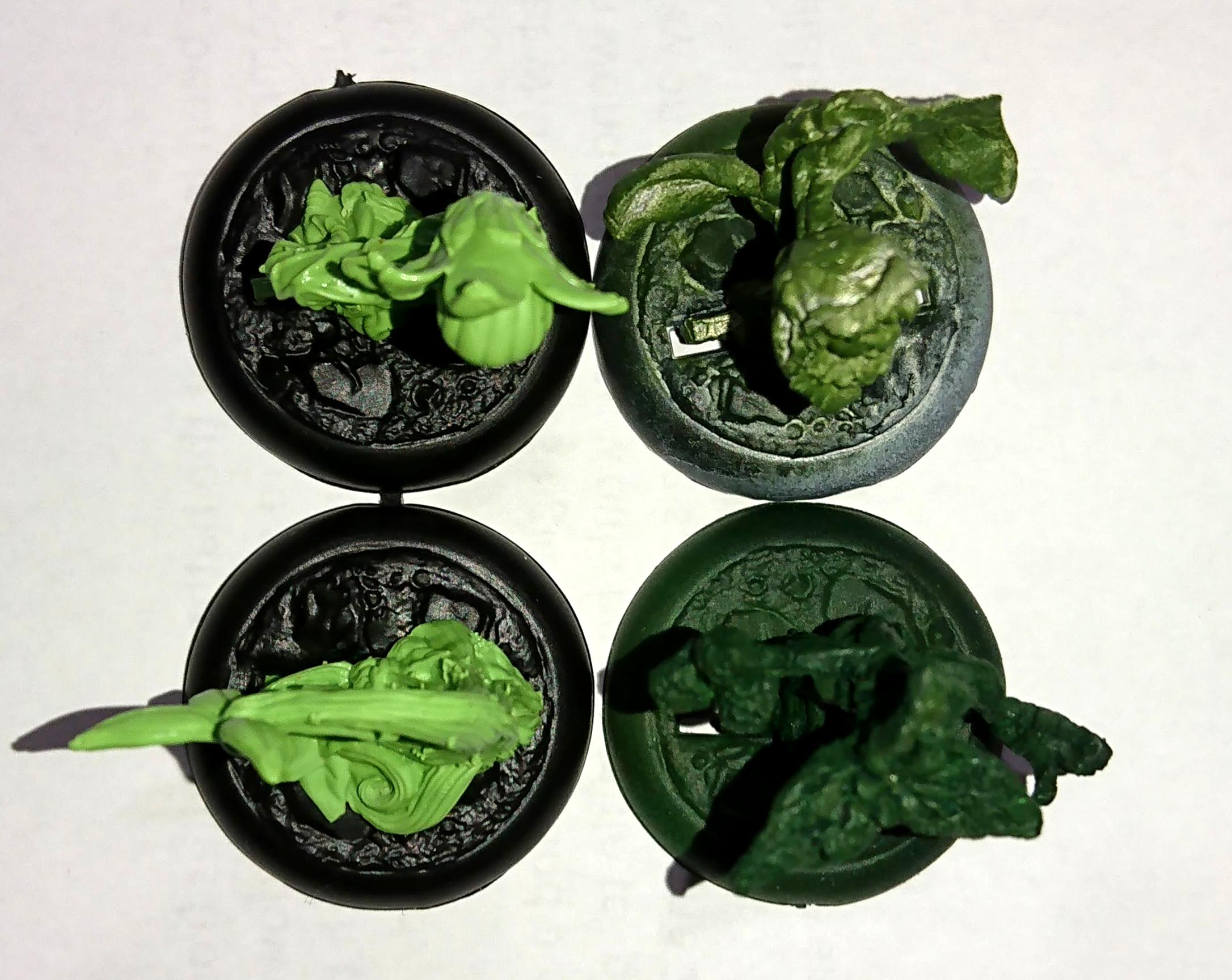 New Poison Ivy Plants VS Old