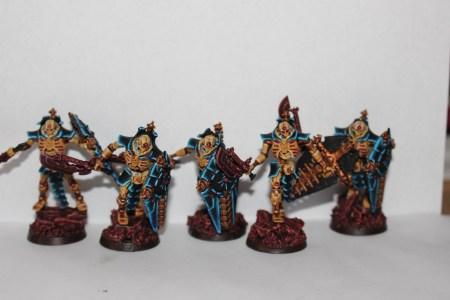 Lychguard Fin 10