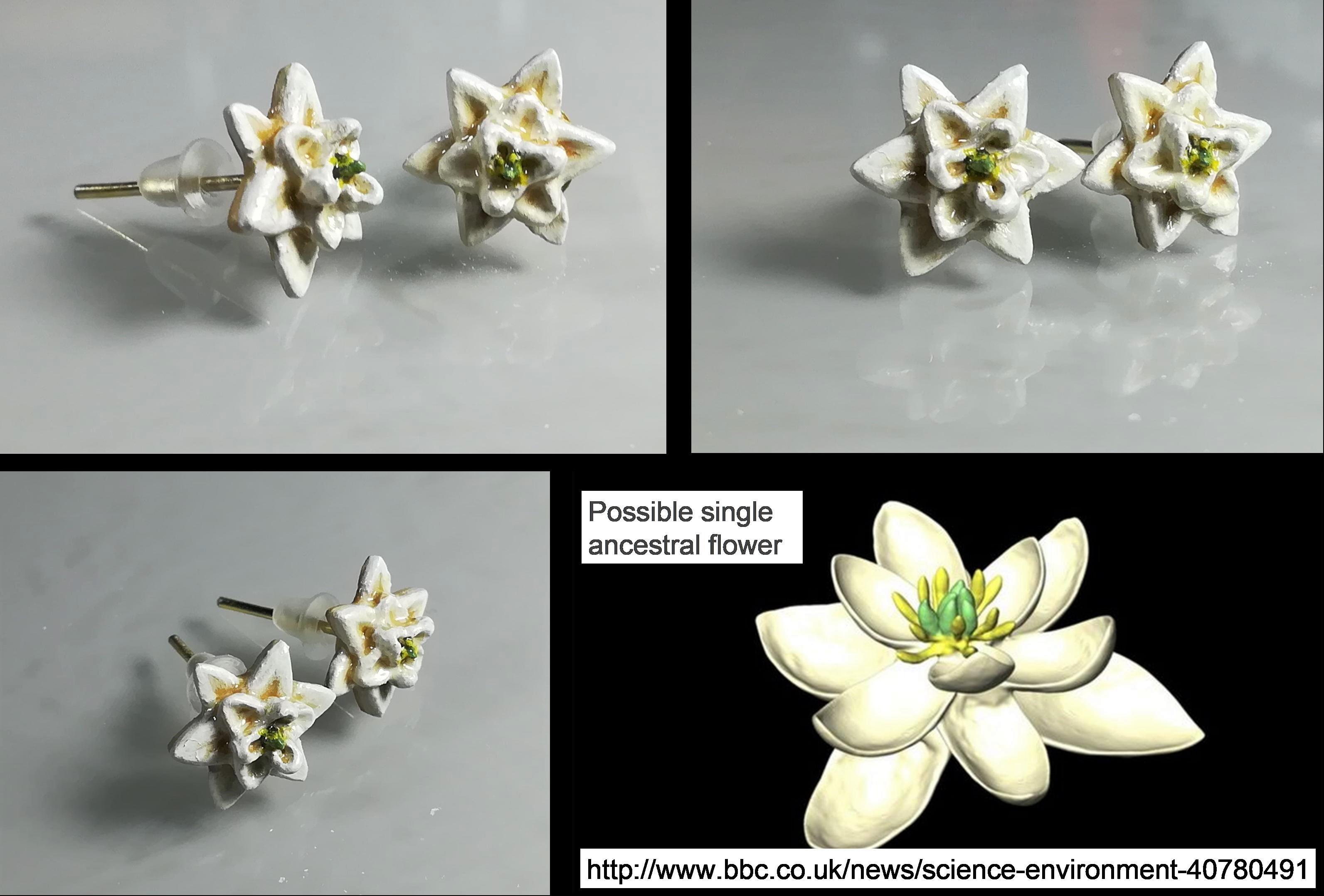 Common ancestral flower earrings