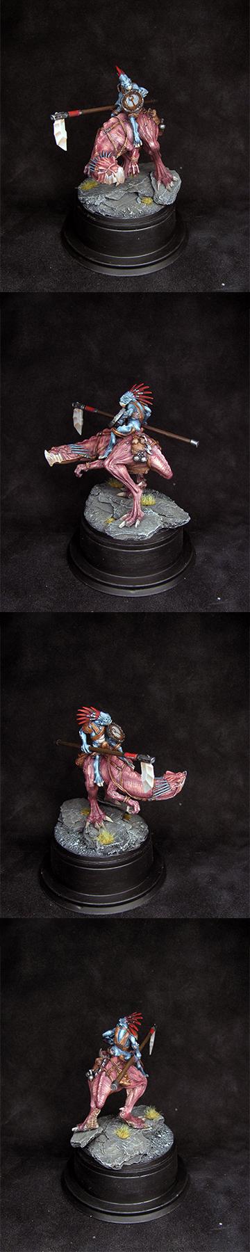 Knarloc, Kroot, knarloc rider