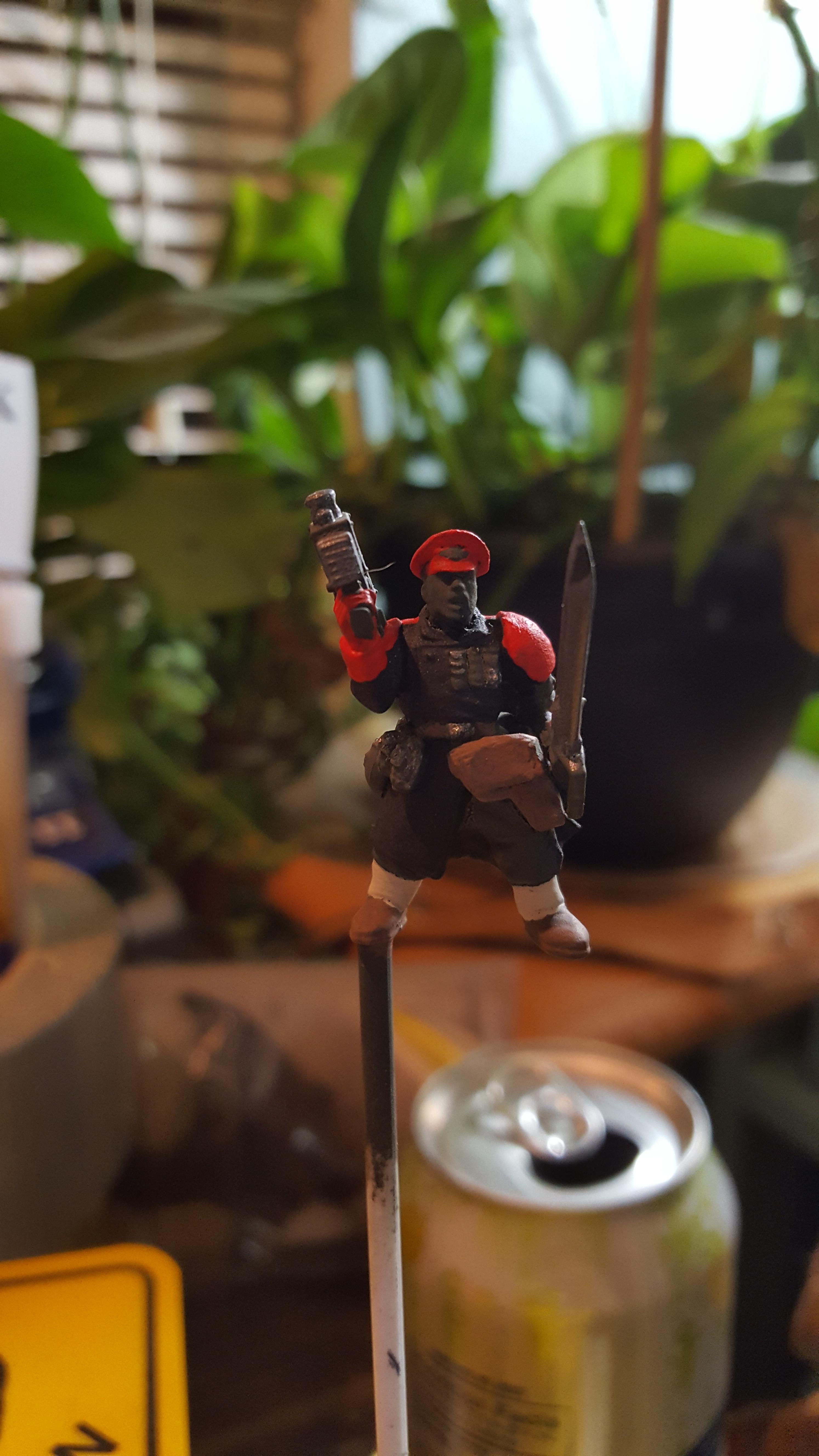 Imperial Guard, Work In Progress
