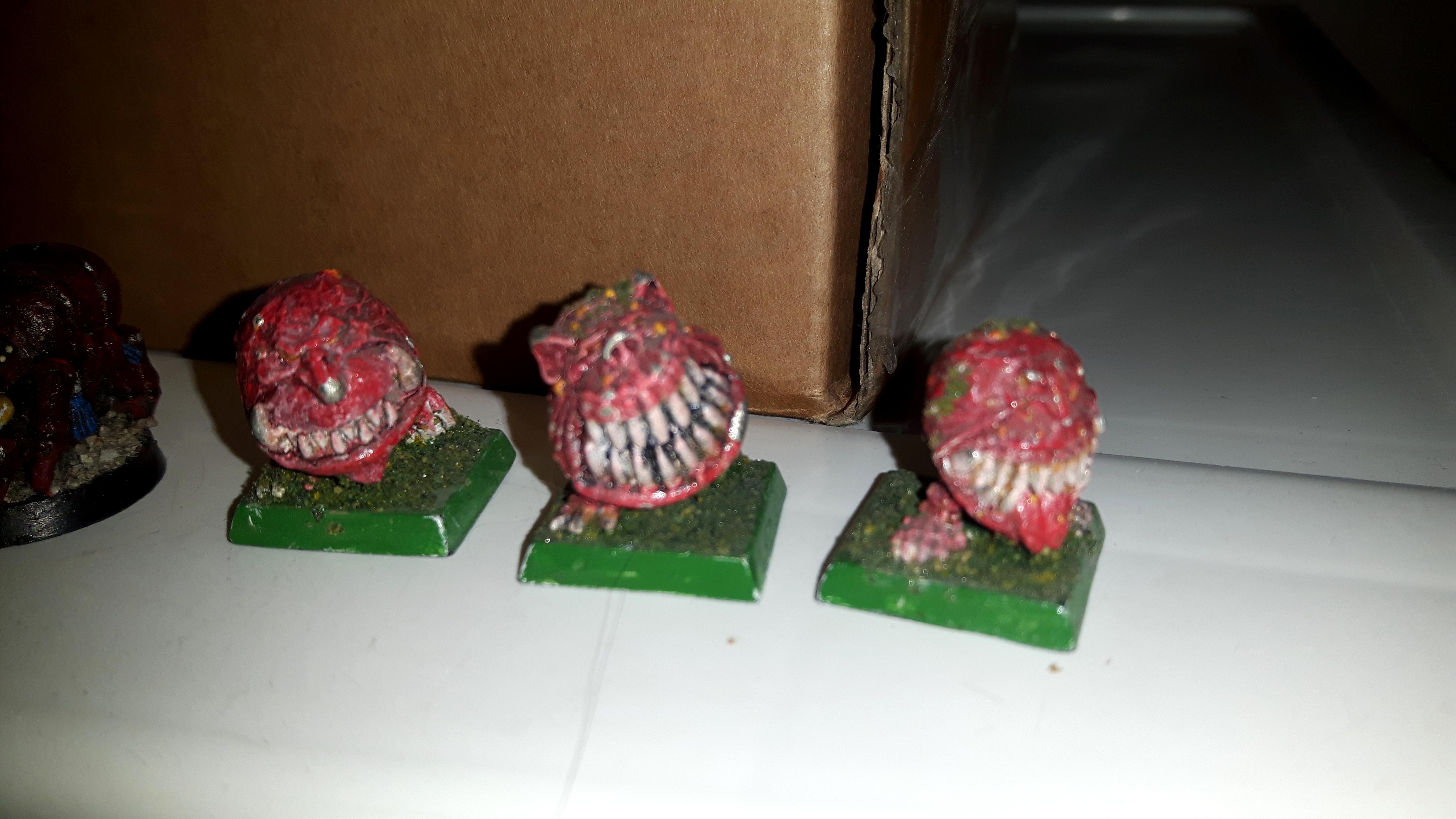 Squigs for sale 