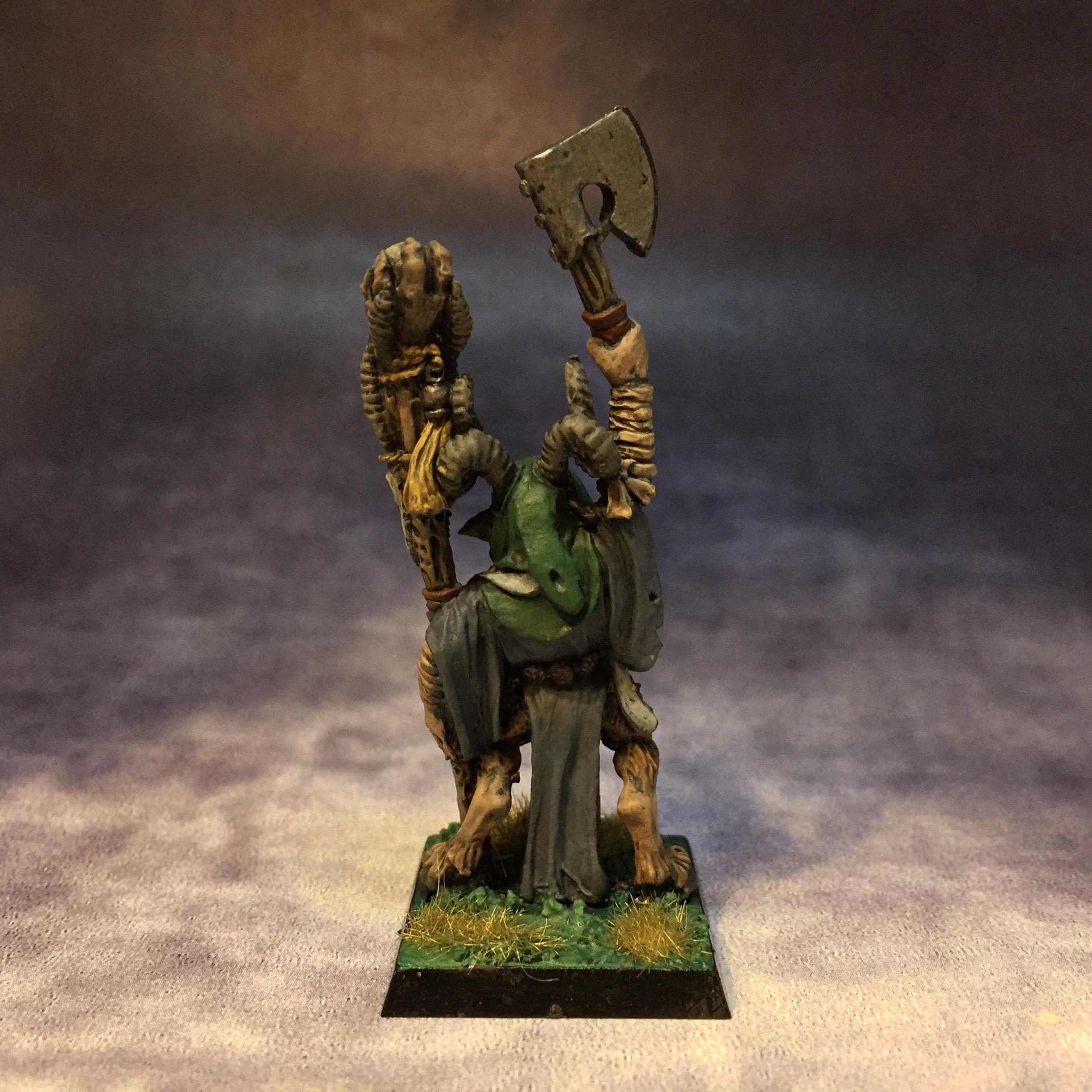 Beastmen, Gw. Citadel, Otober 2017, Shaman