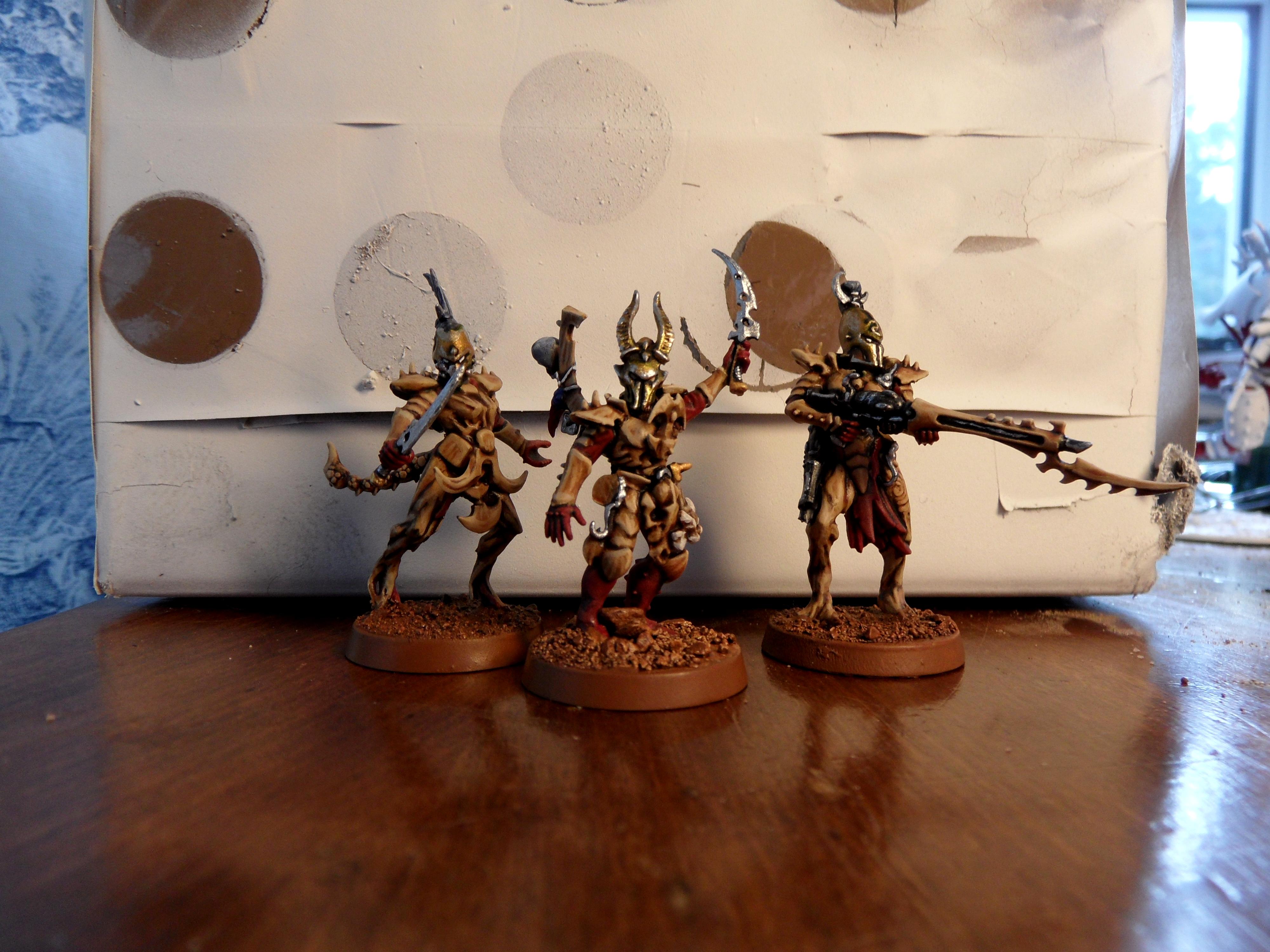Dark Eldar hero5