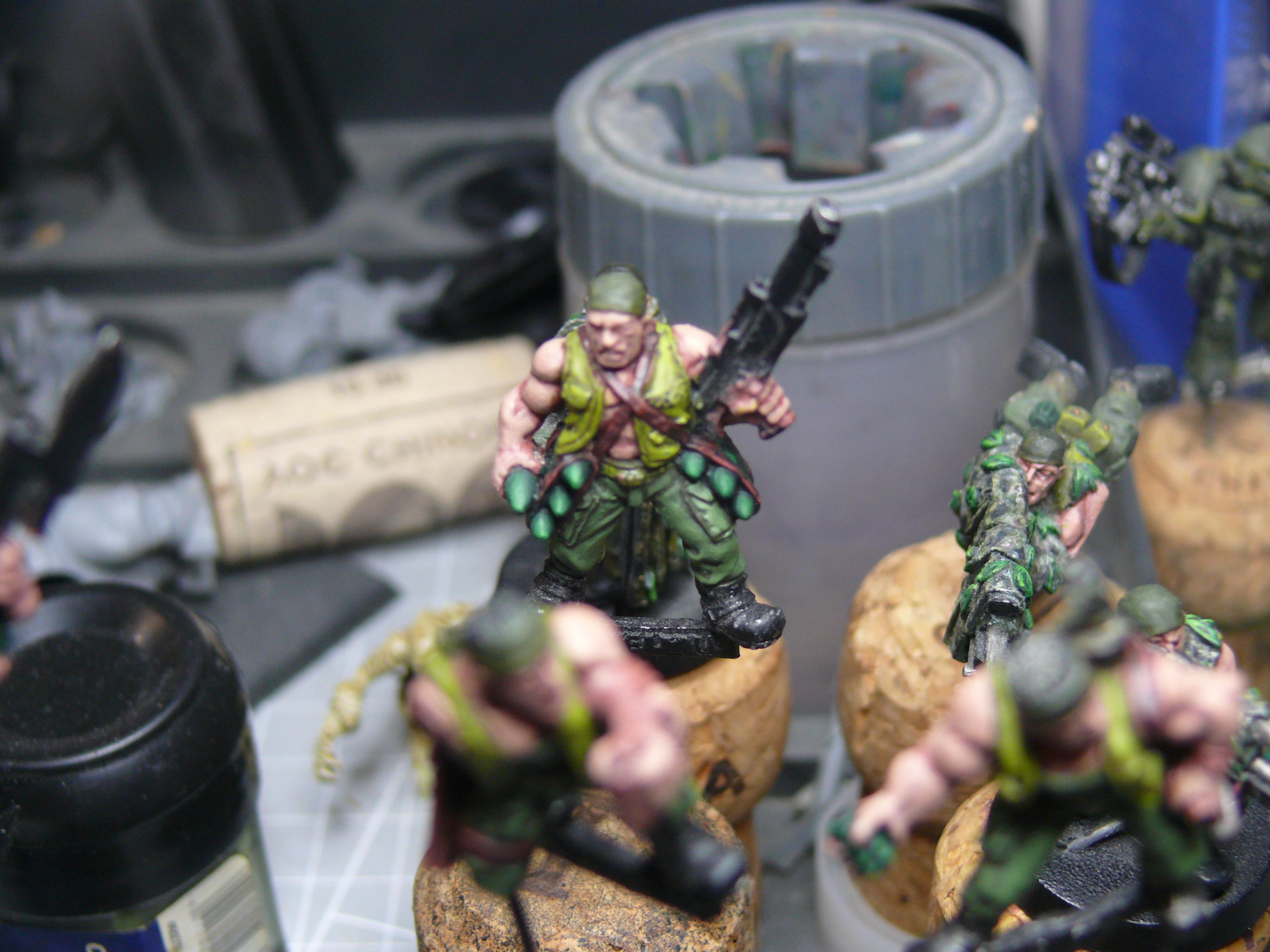 Jungle Fighters