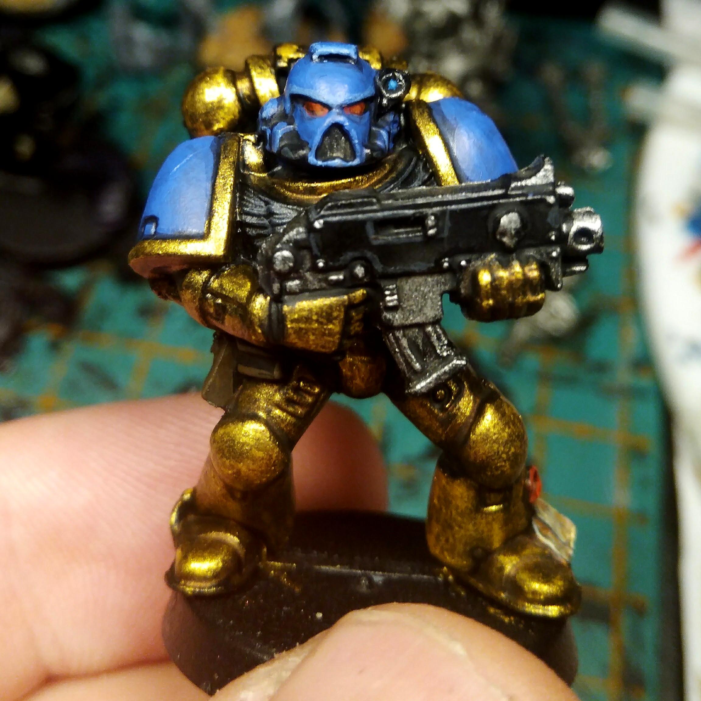 Celestial Lions, Space Marines, Tactical Squad