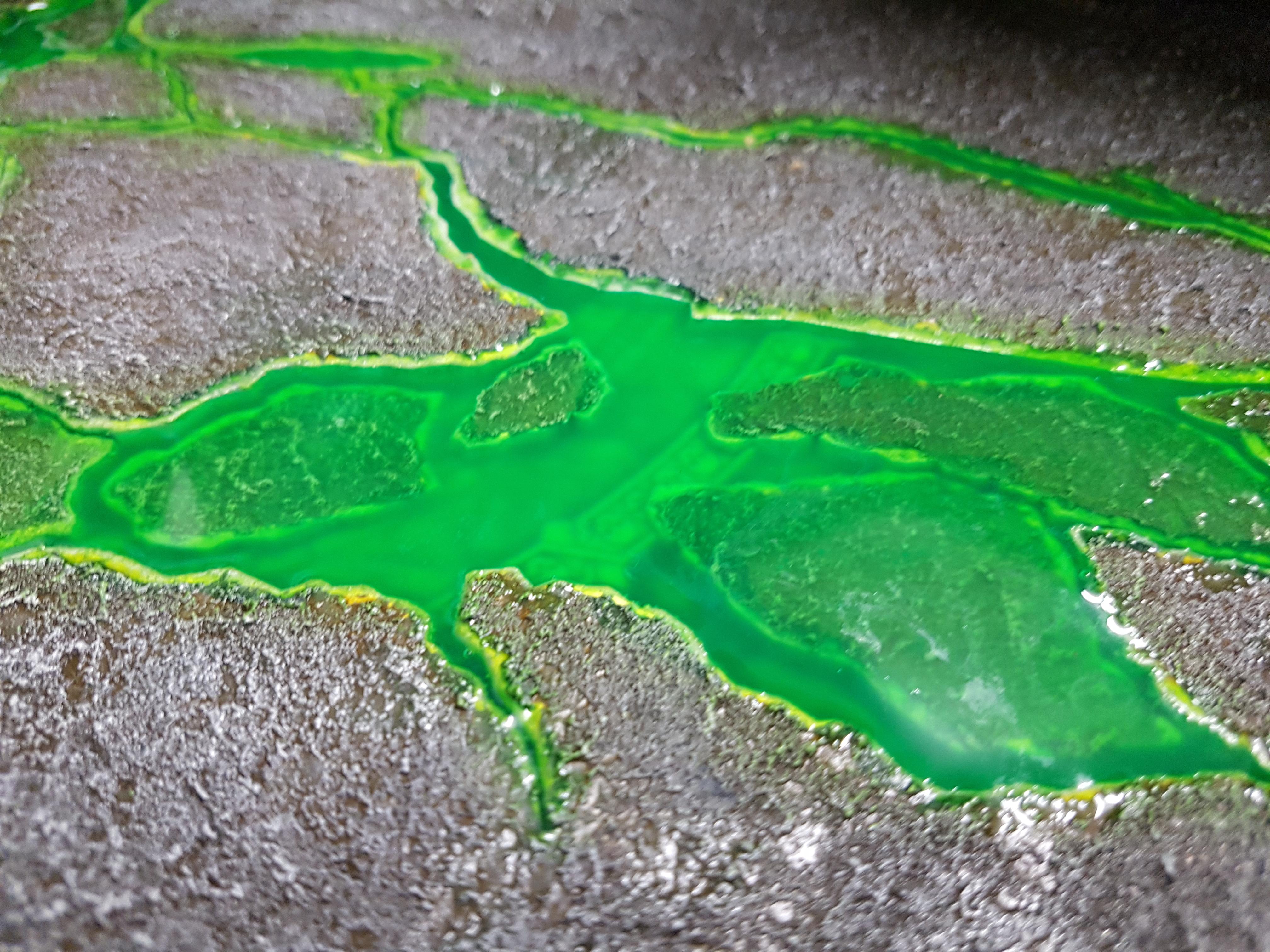 Terrain, Toxic