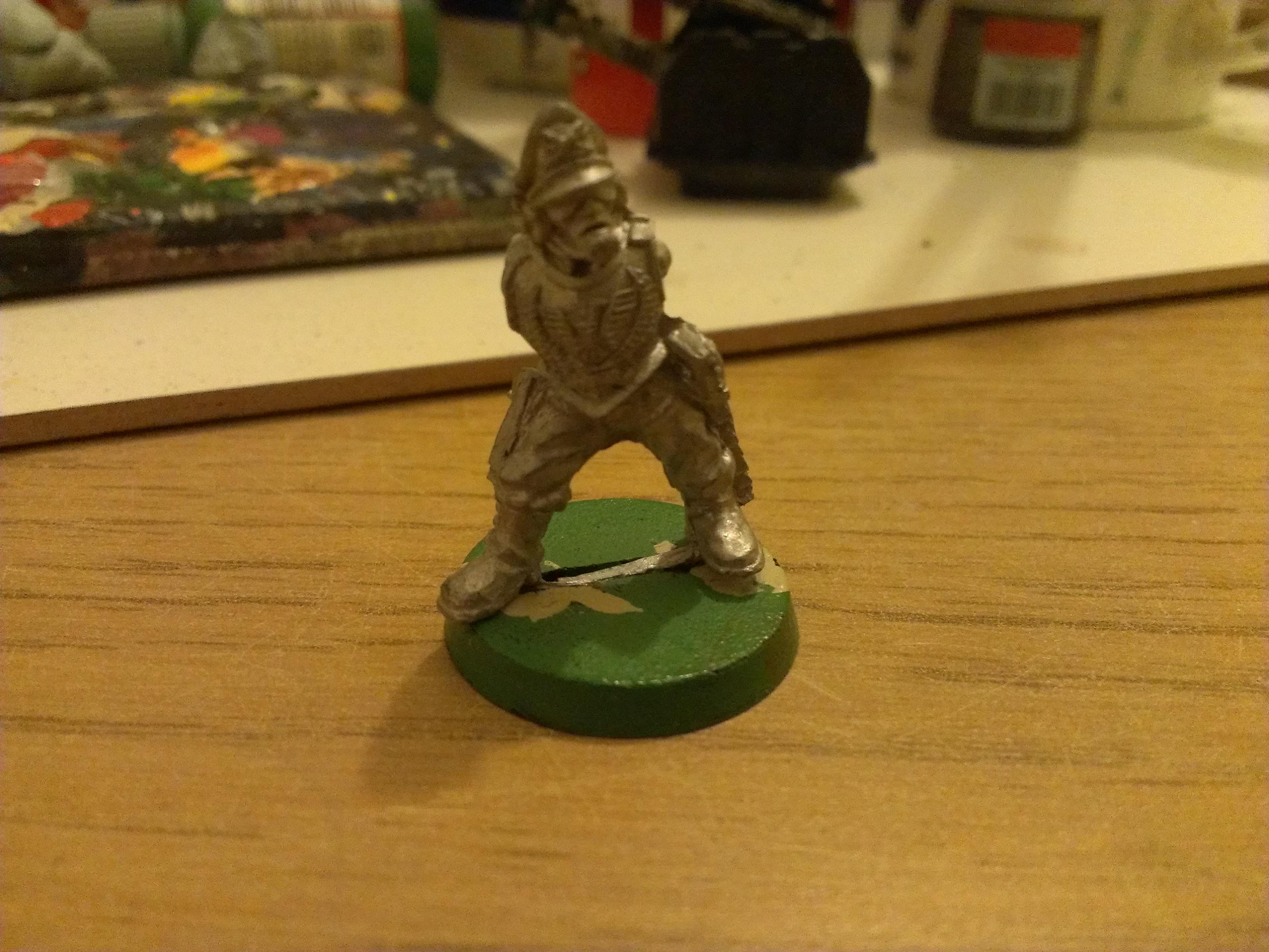 Rogue Trader Captain