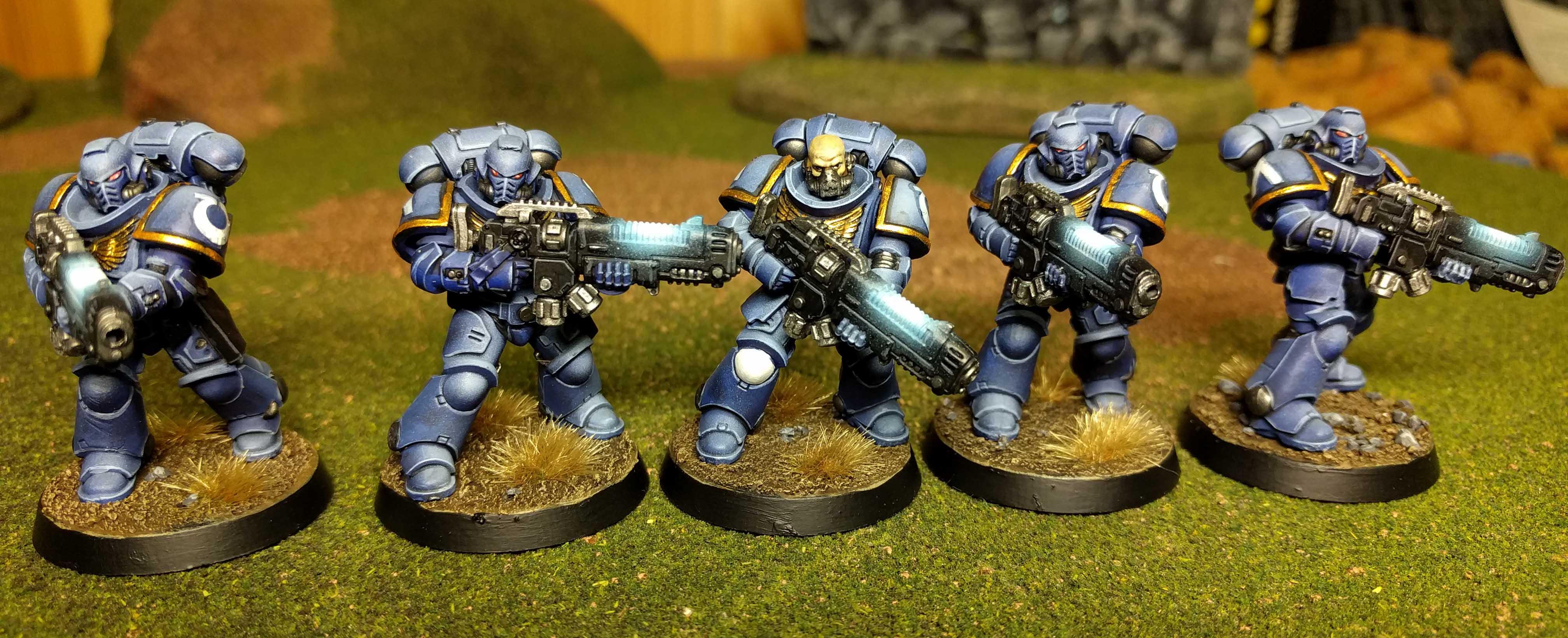 Primaris
