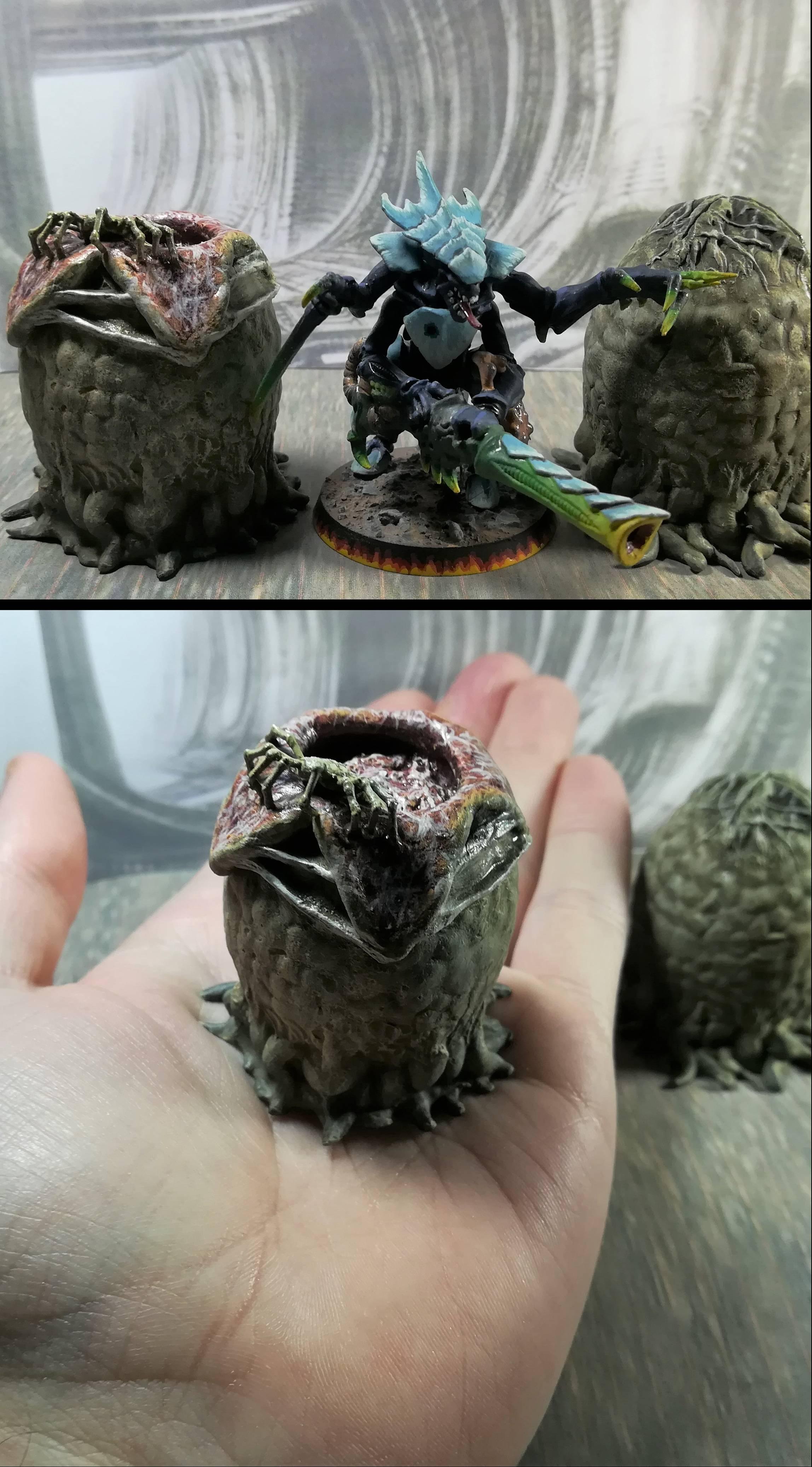 Eggs final scale