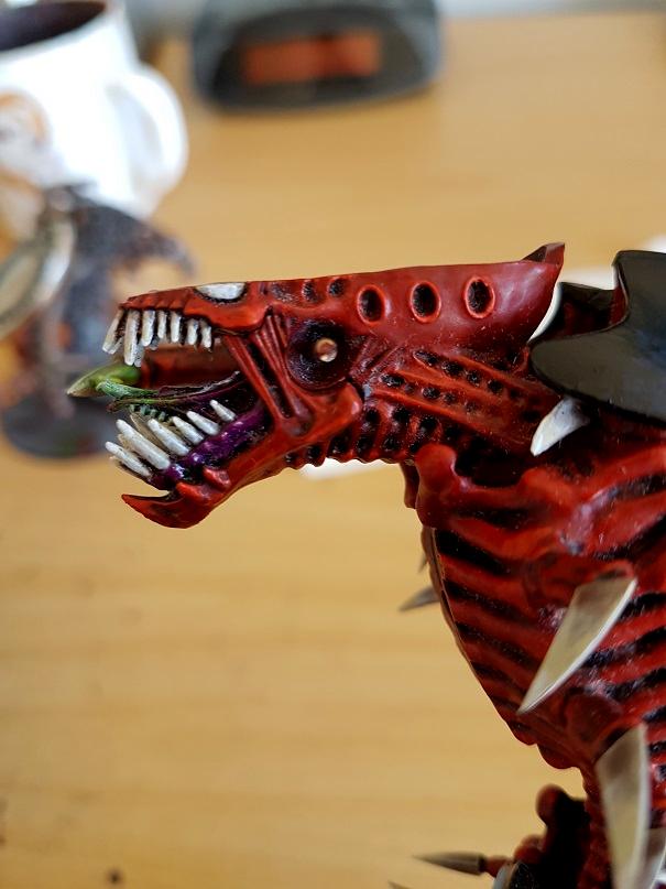 Trygon jaw 2