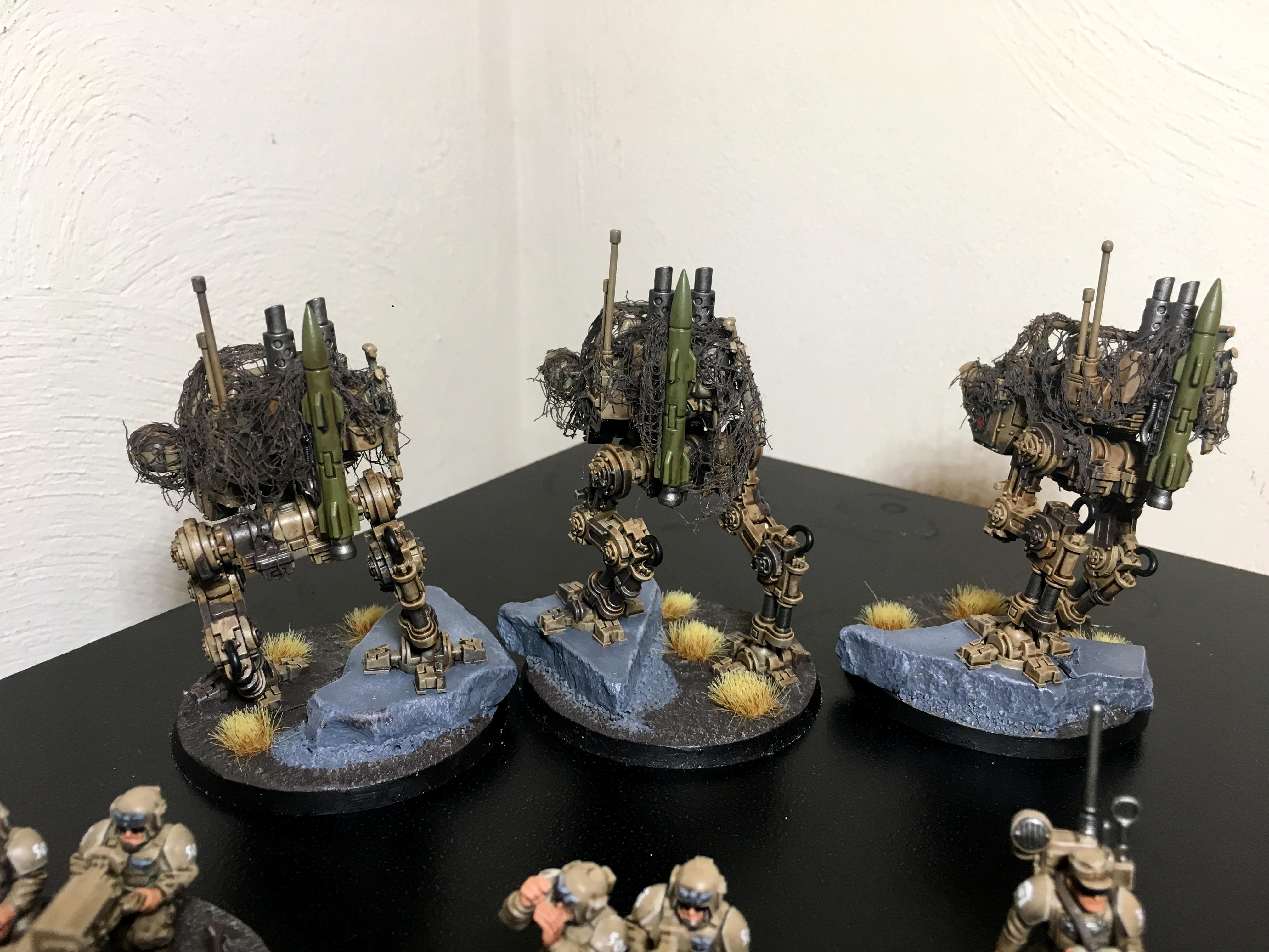 Heavy Weapon Squad, Scout Sentinel