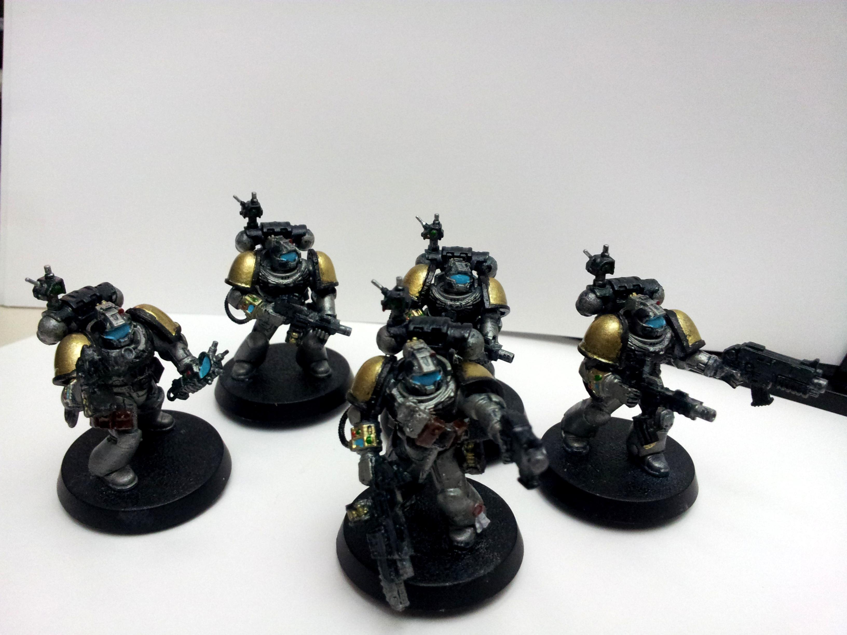 Sternguards
