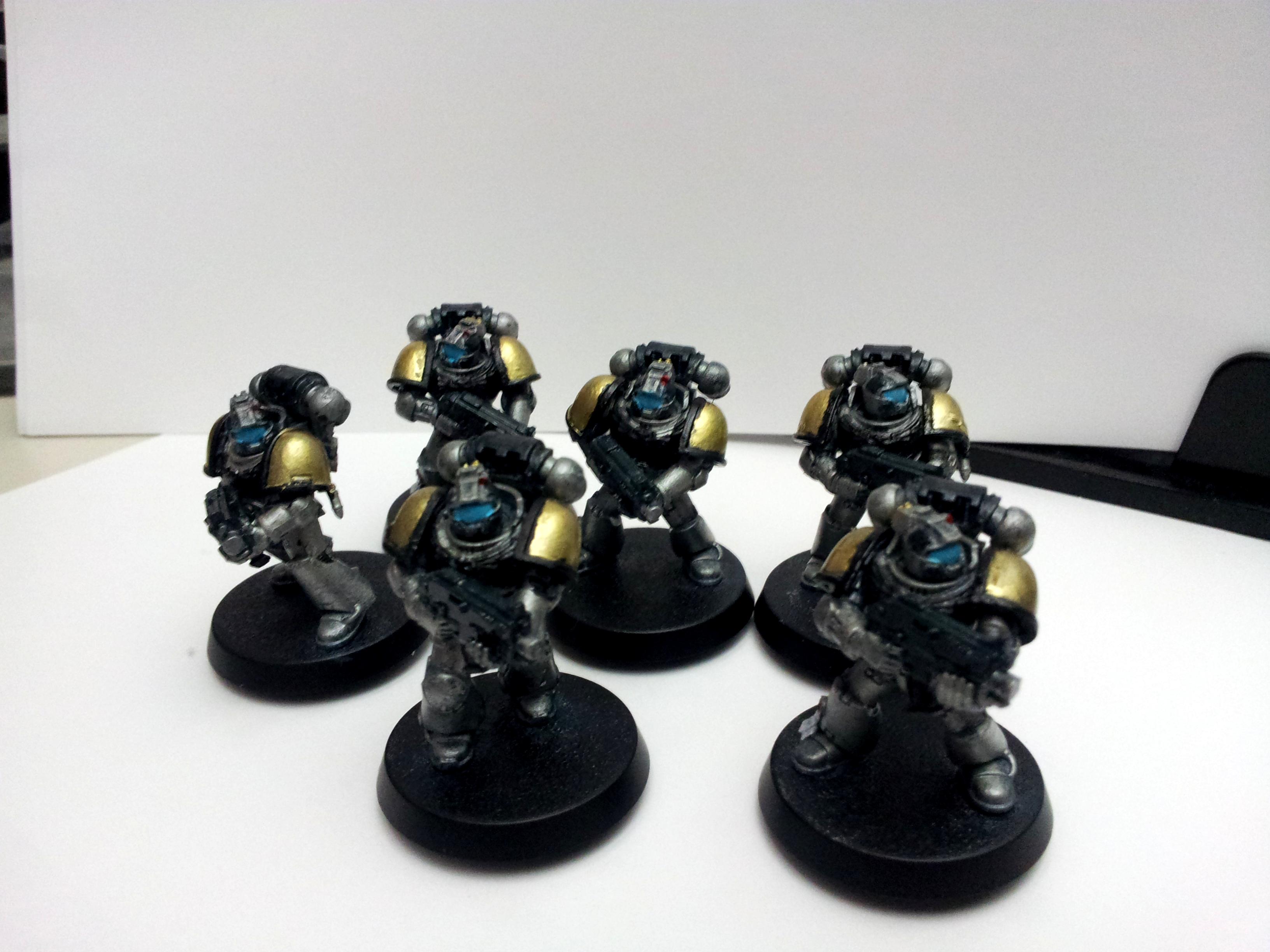 Tactical Marines