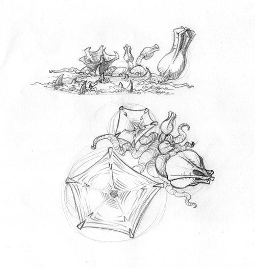 Venus Mantrap Sketch