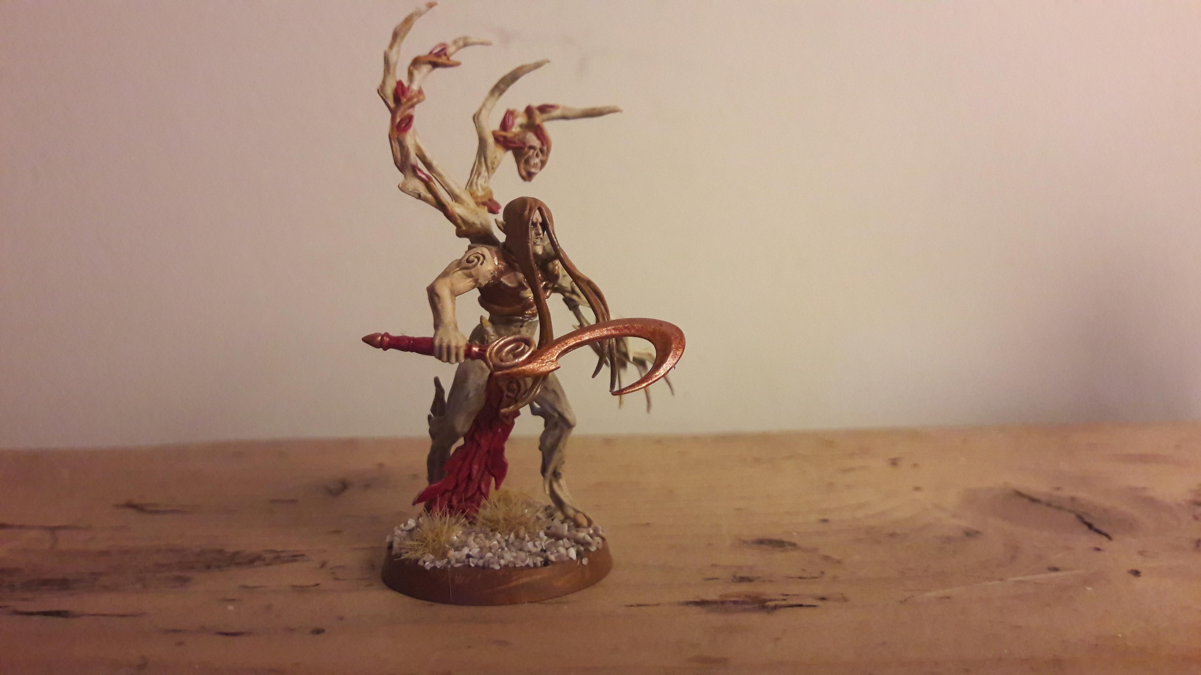 Autarch, Conversion, Eldar, Exodites, Farseer, Haemonculus
