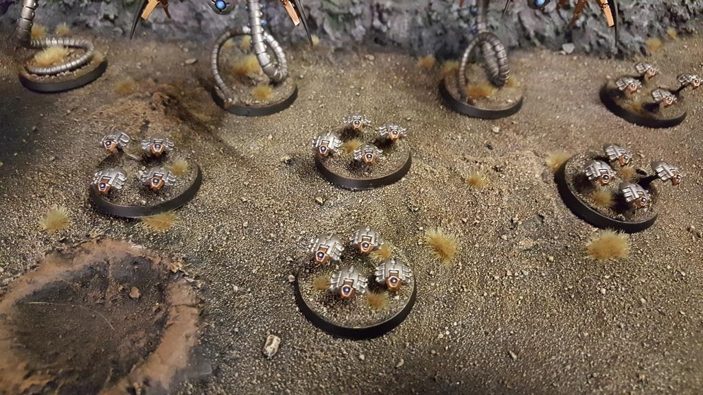 Scarabs