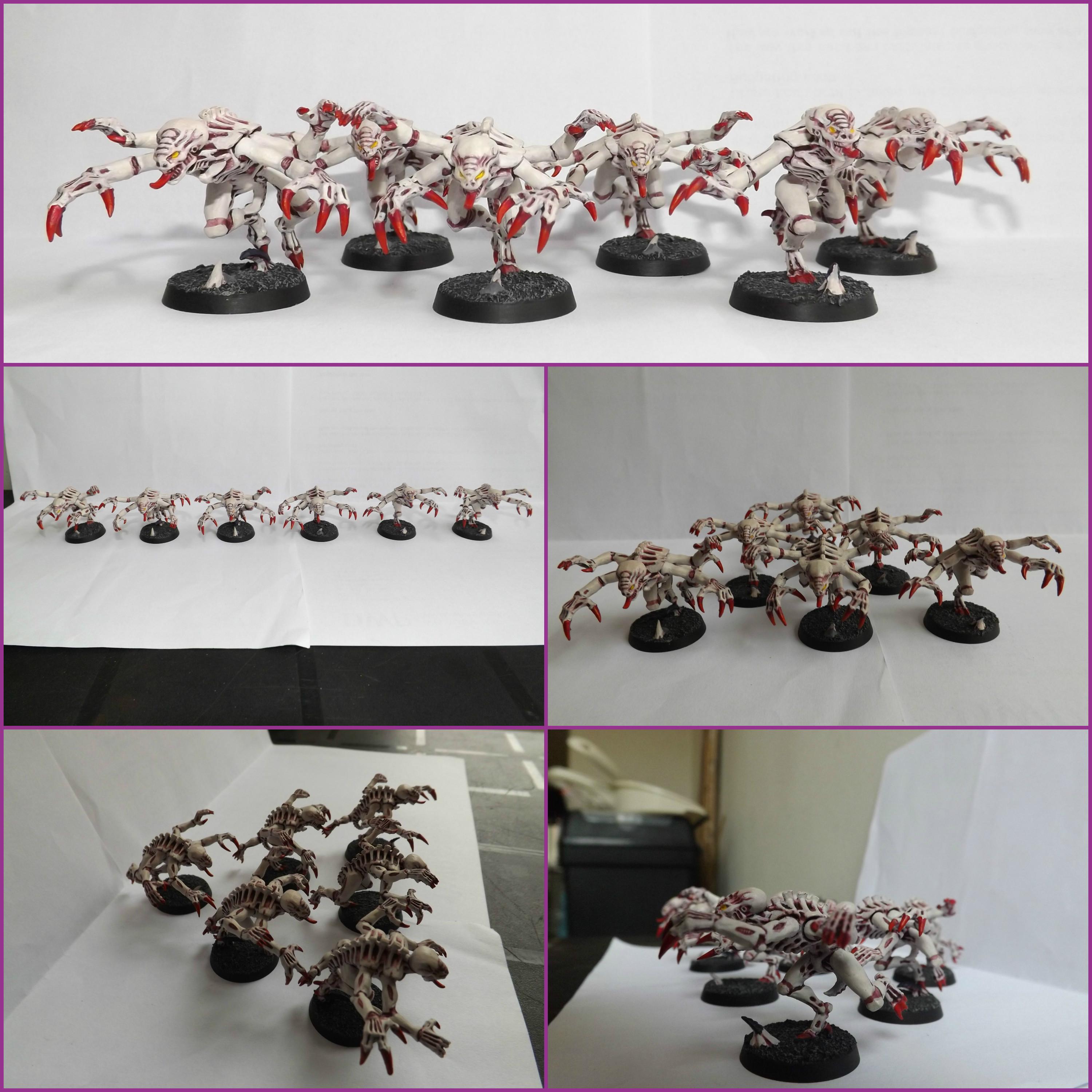 Genestealer Brood (1)