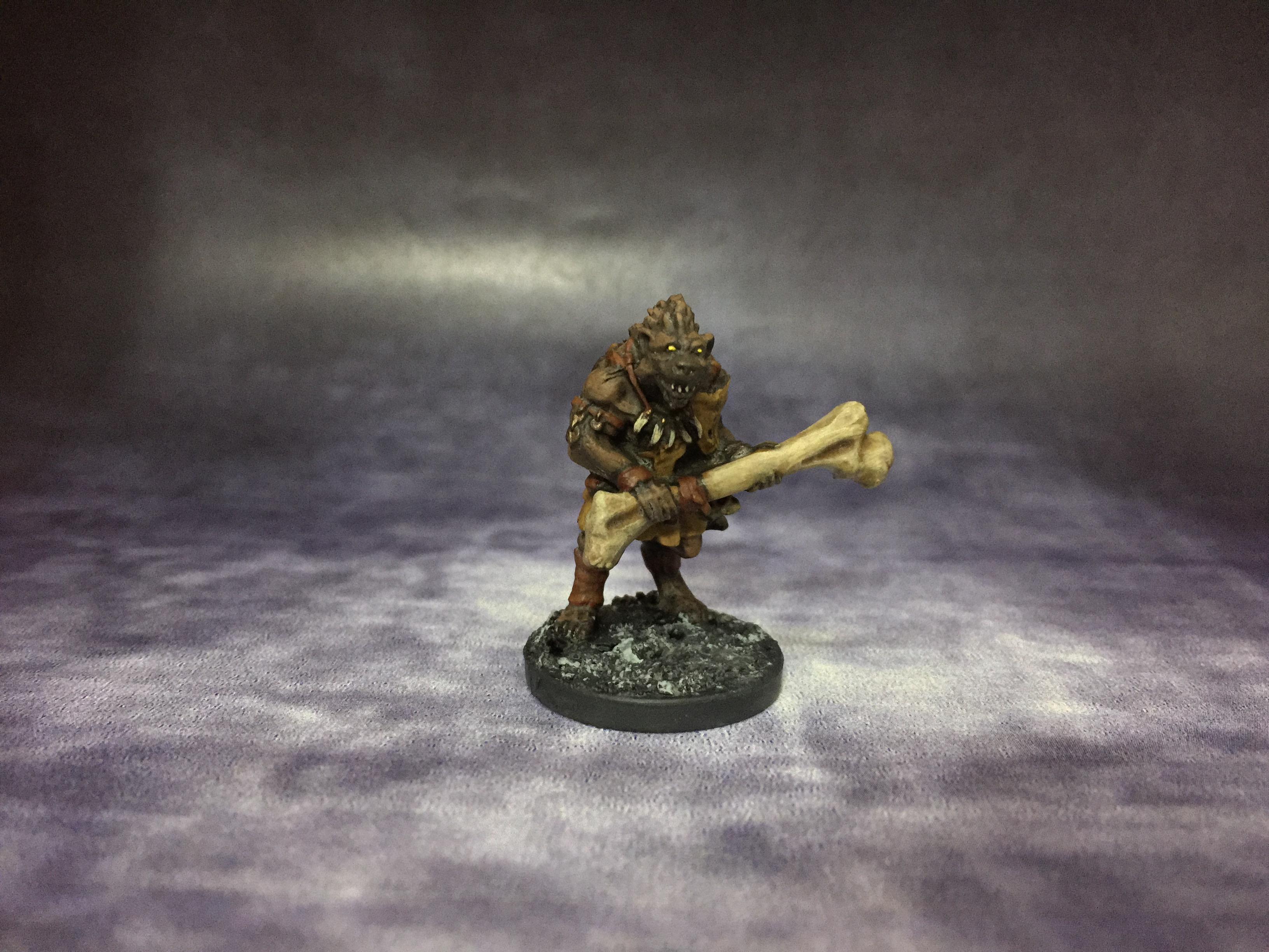 February 2017, Frostgrave, Gnolls, Northstar