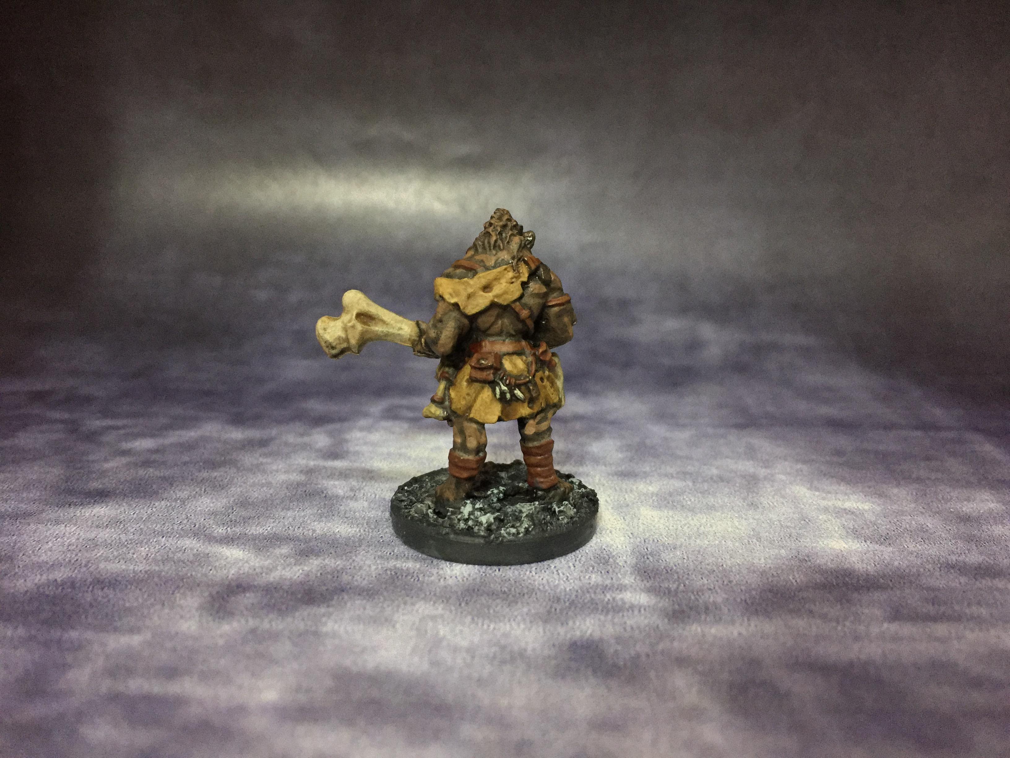 February 2017, Frostgrave, Gnolls, Northstar