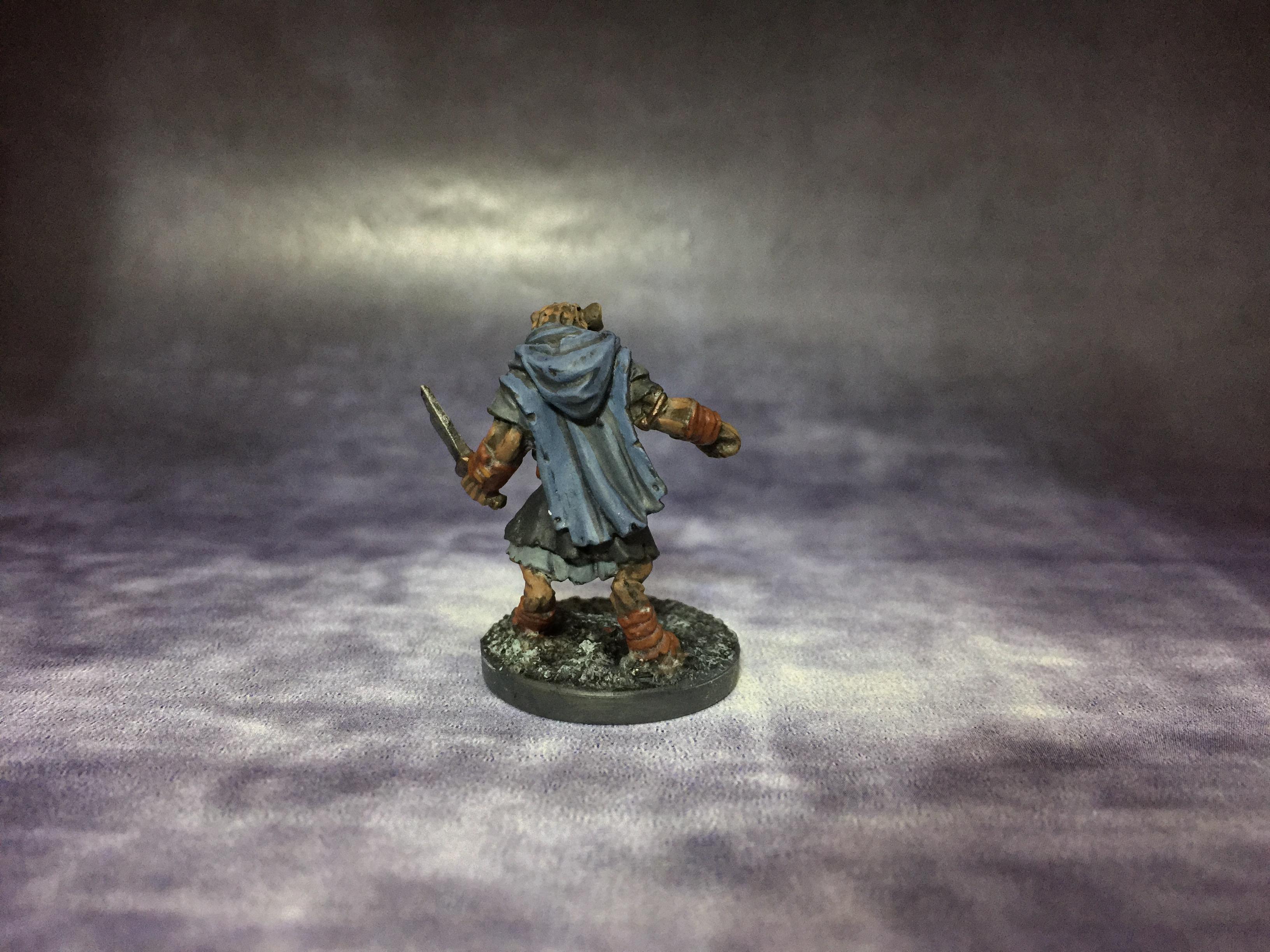 February 2017, Frostgrave, Gnolls, Northstar
