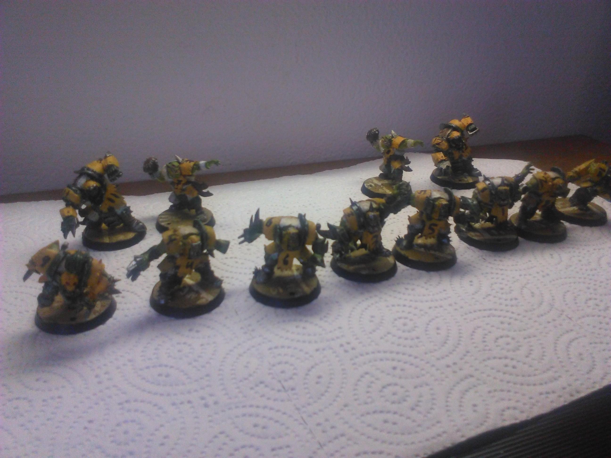 Orc1