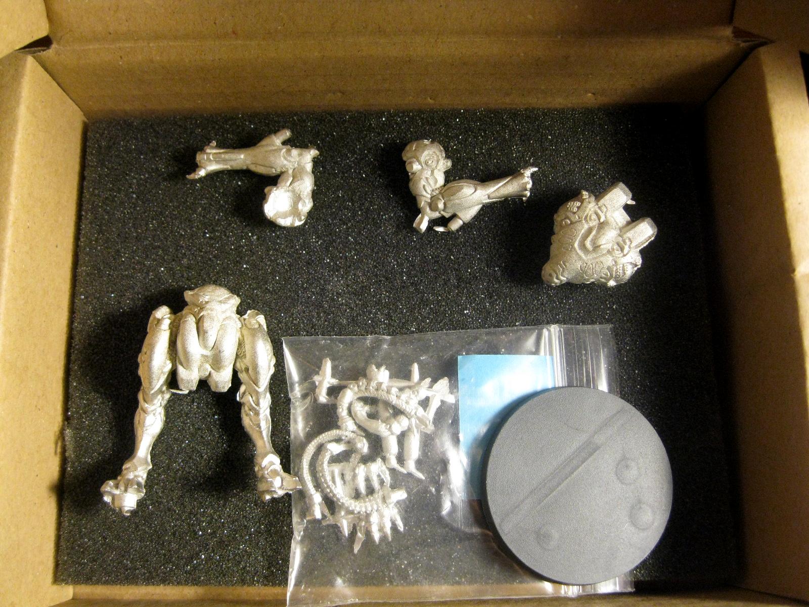 LizardWIP