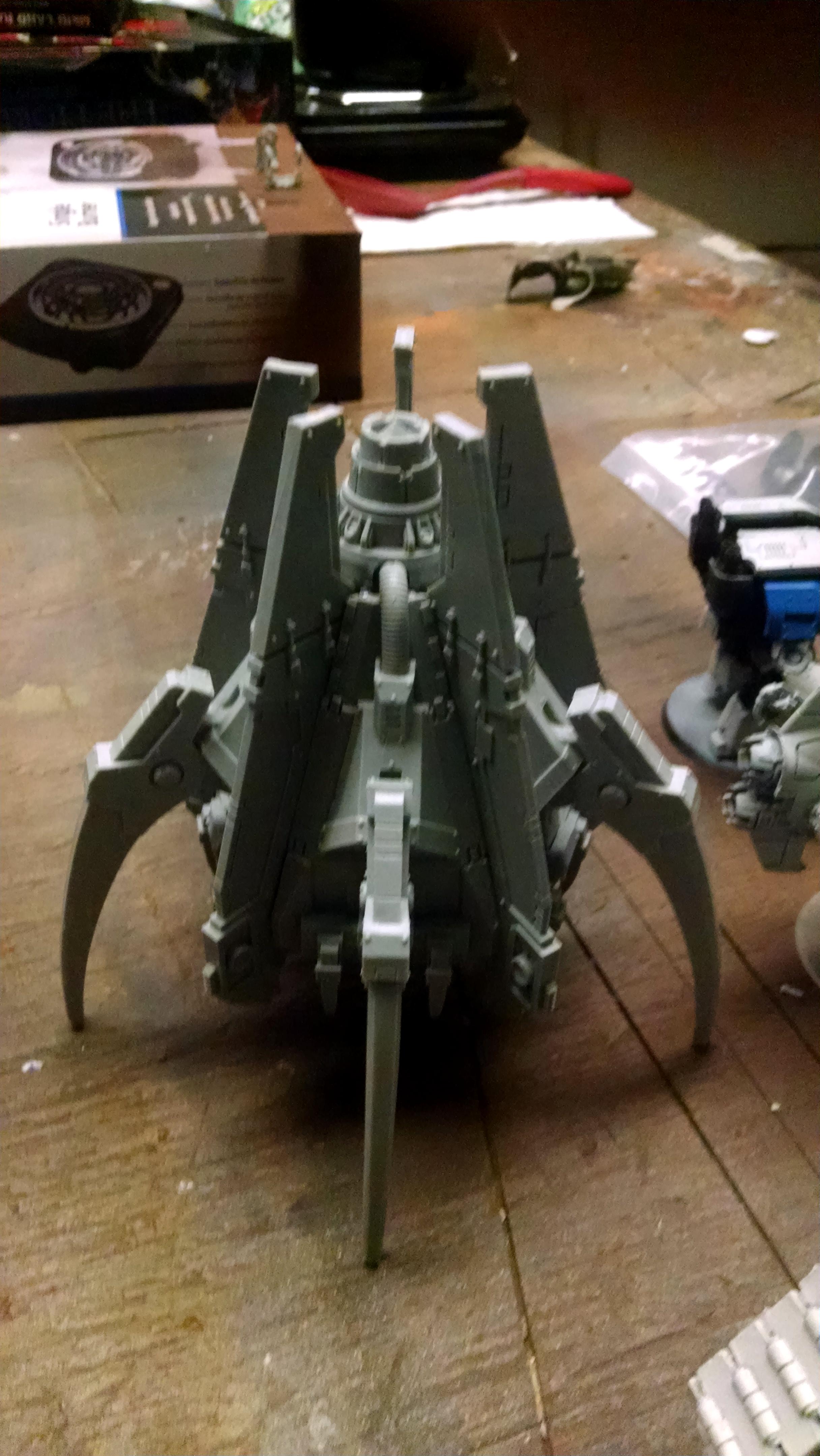 Anvillius DP WIP