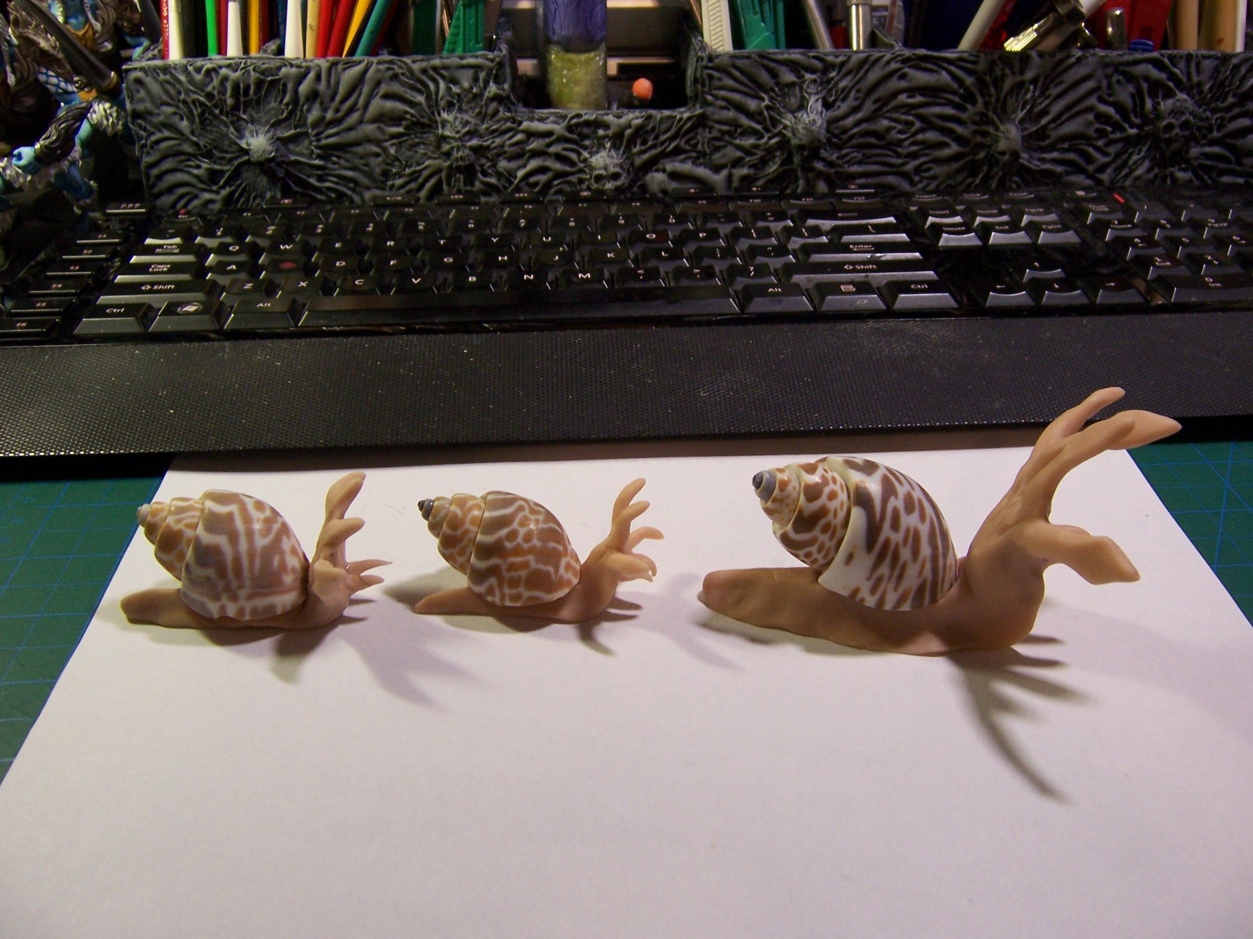 Flail Snails