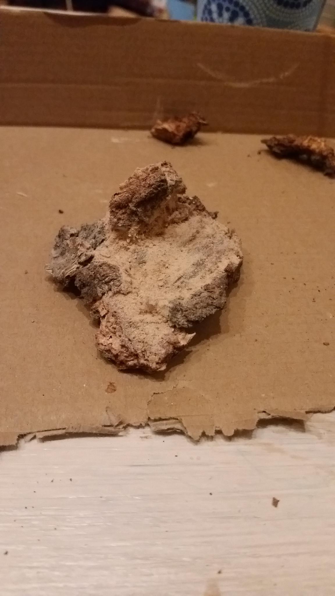 First base ever