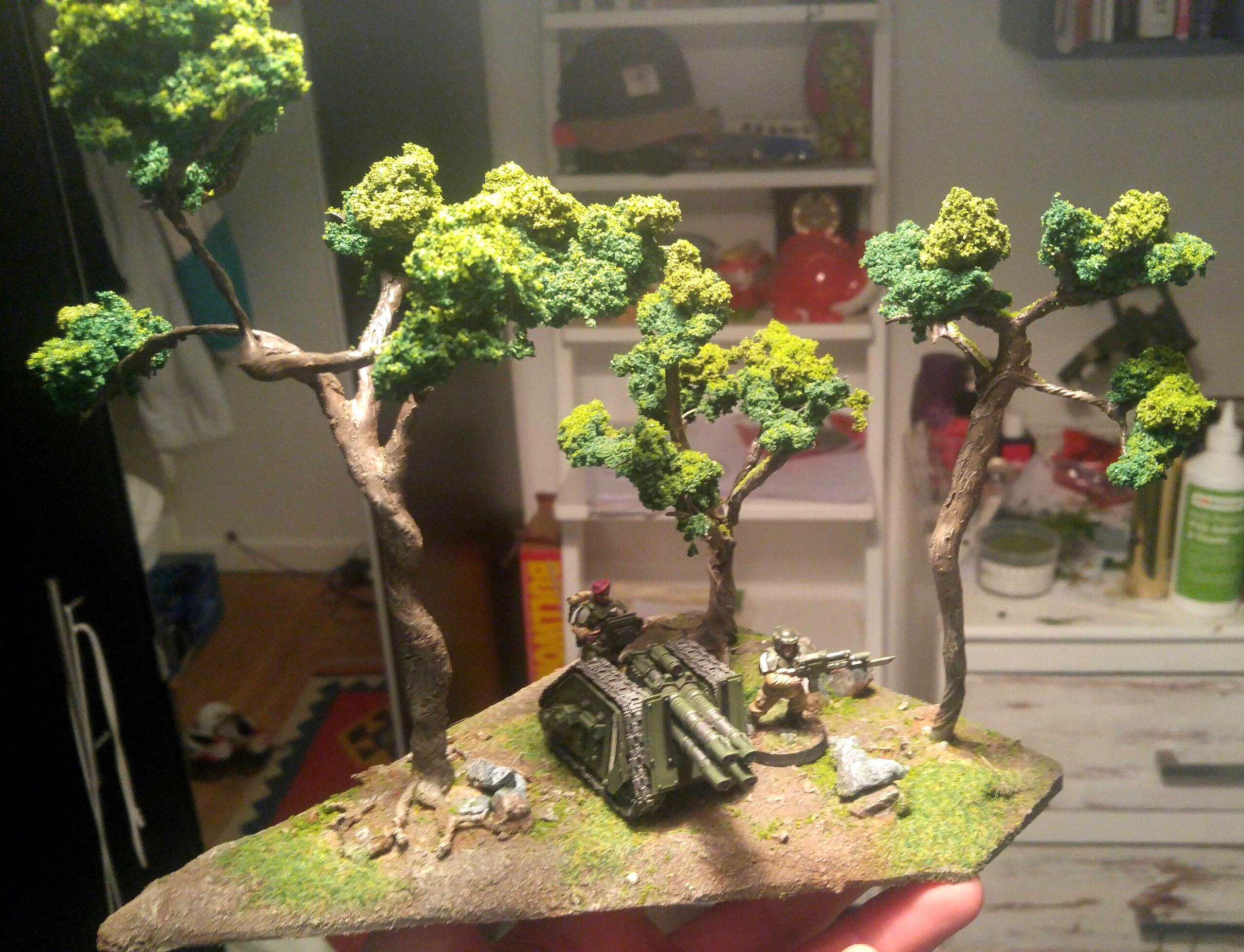Terrain