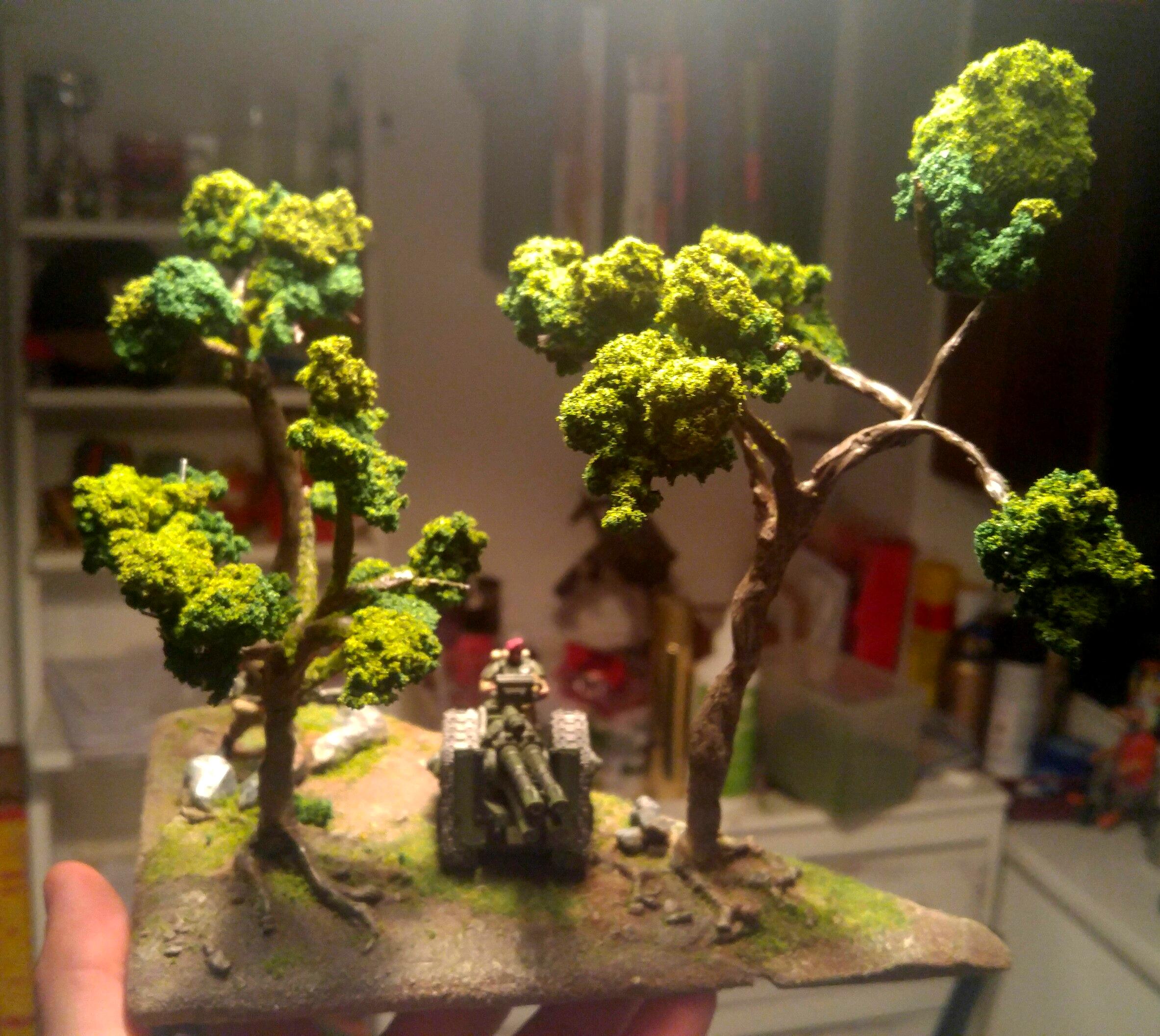 Terrain