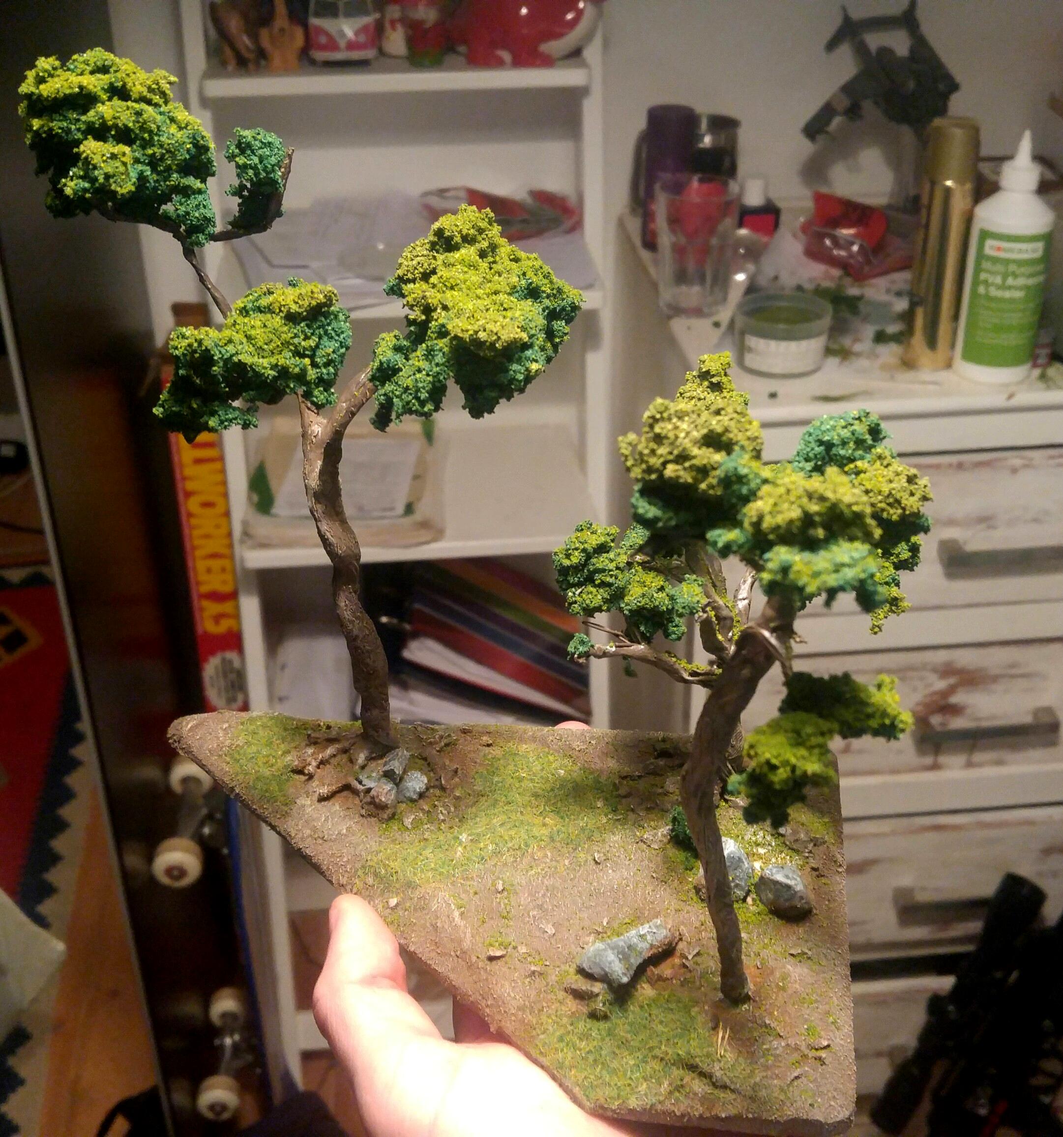Terrain