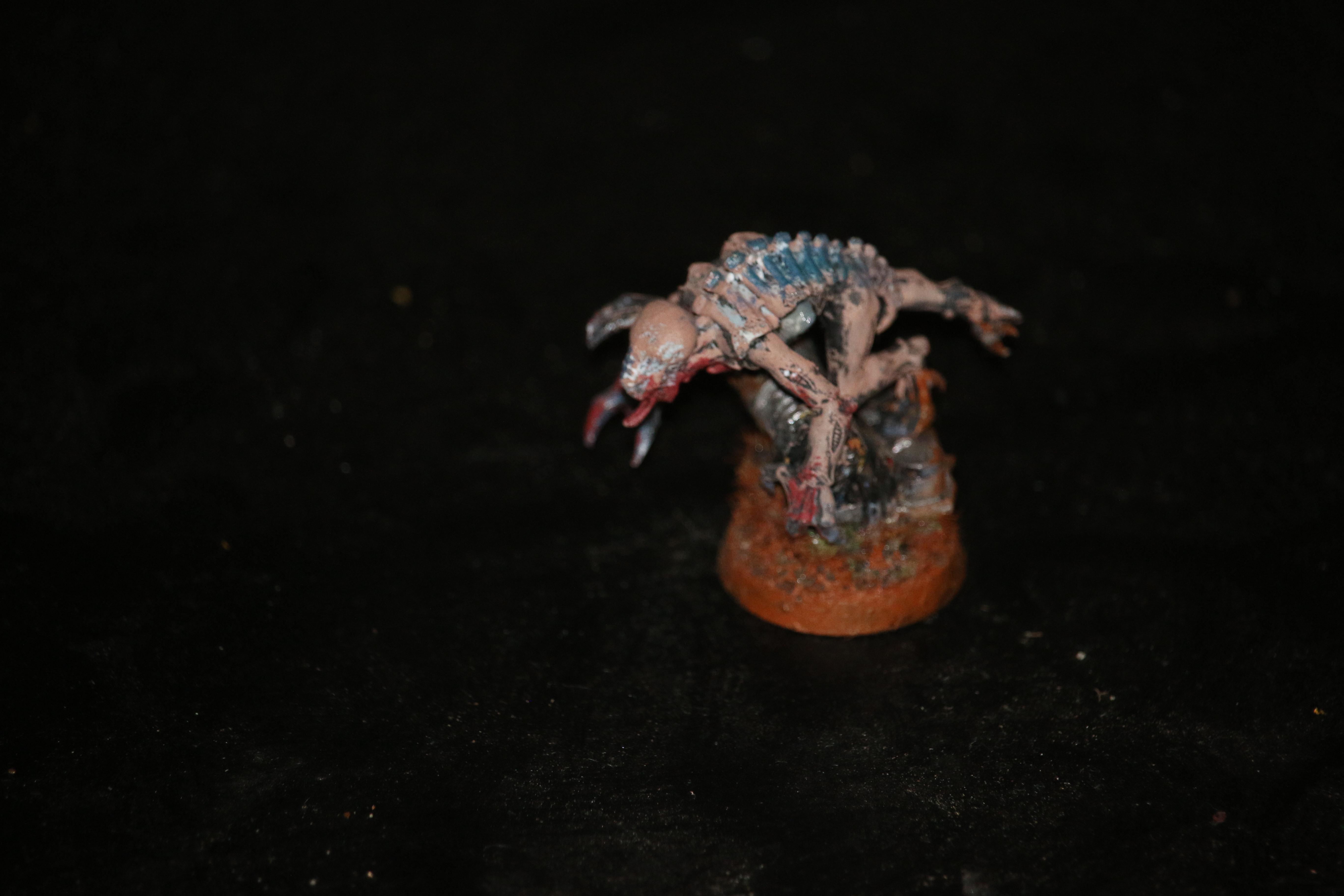 leaping stealer