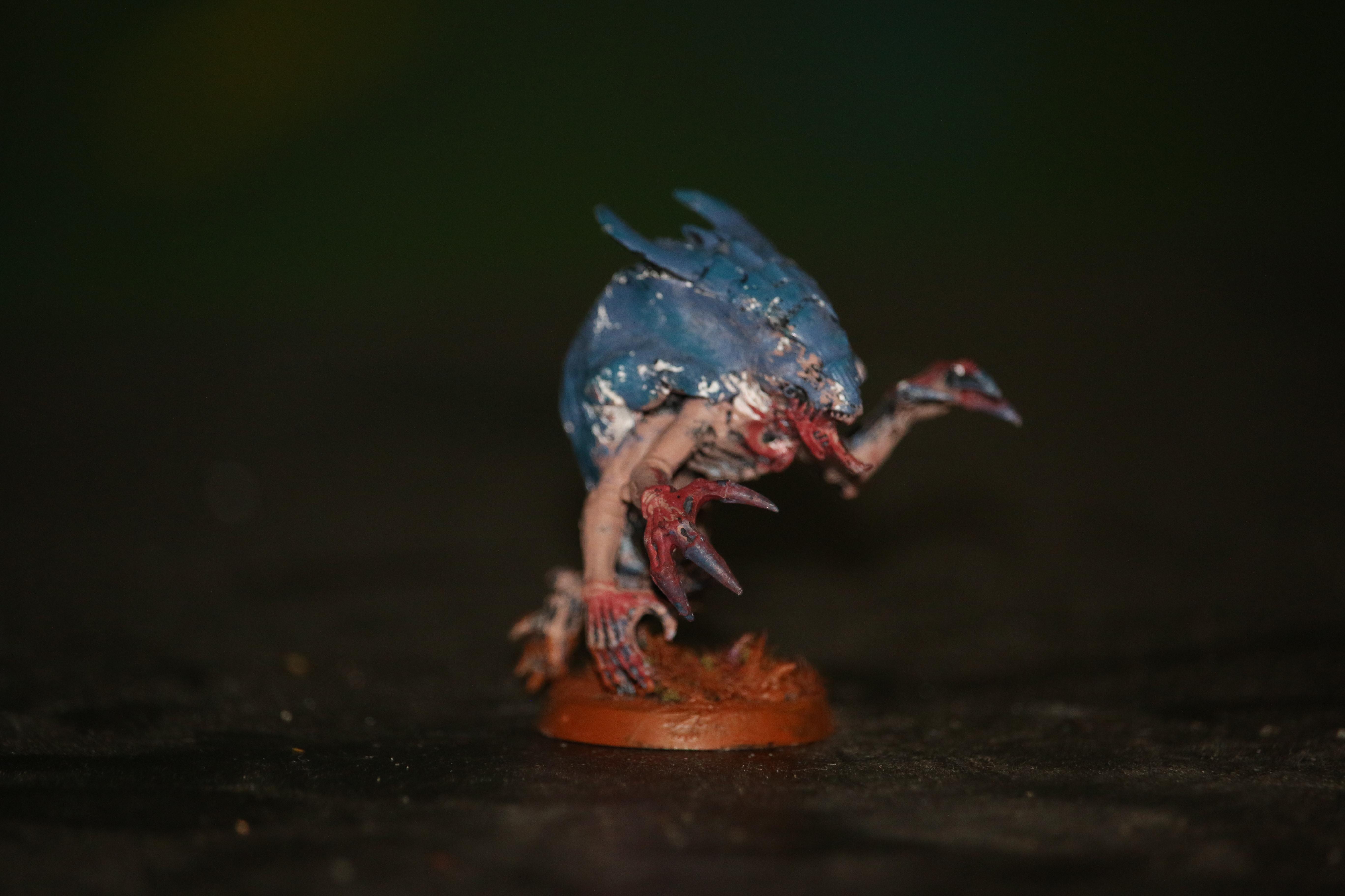sheelstealer
